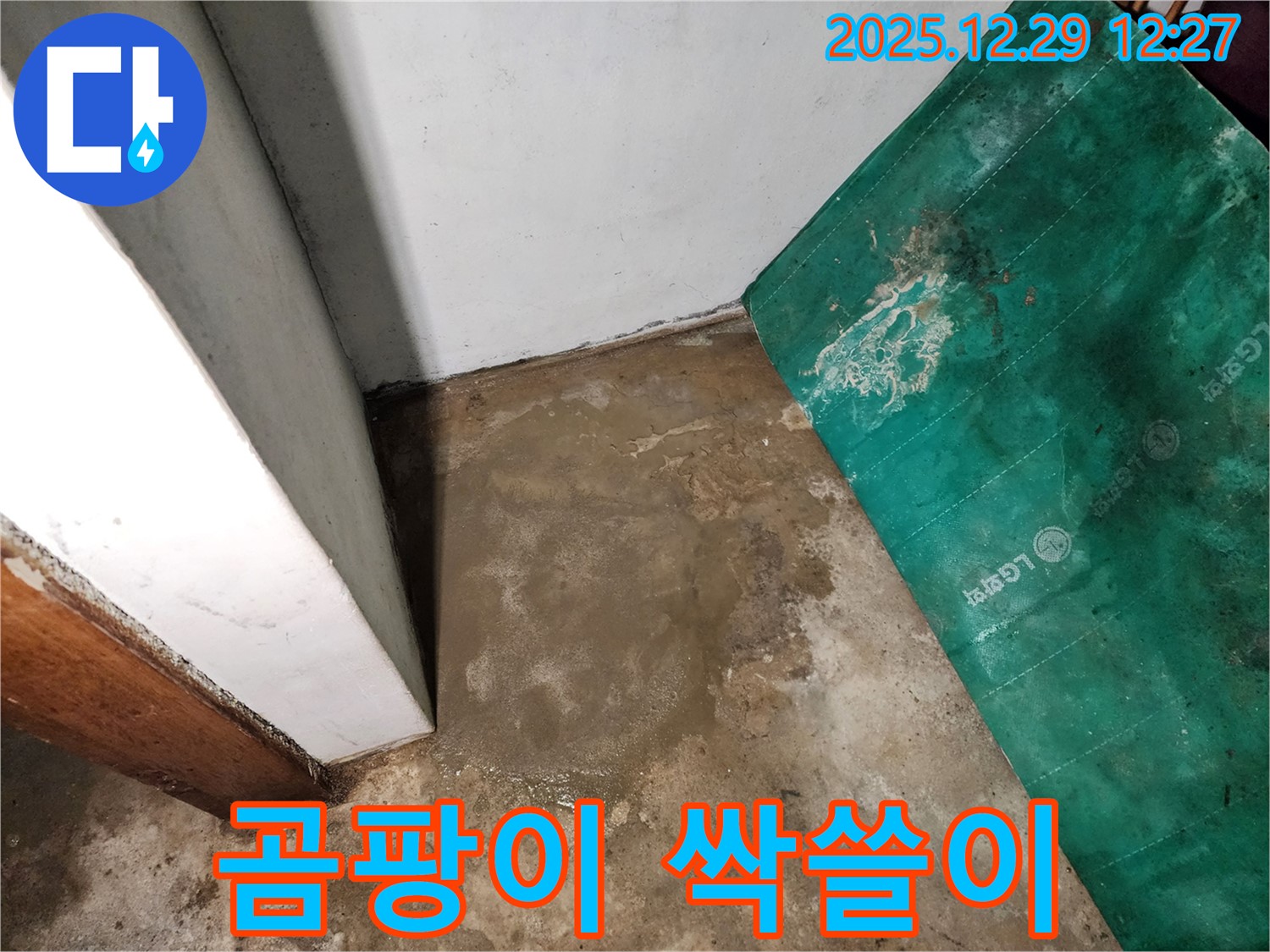 노원구 상계2동 누수 현장 - 지하실 곰팡이 문제 해결 - 싹쓸이 대작전