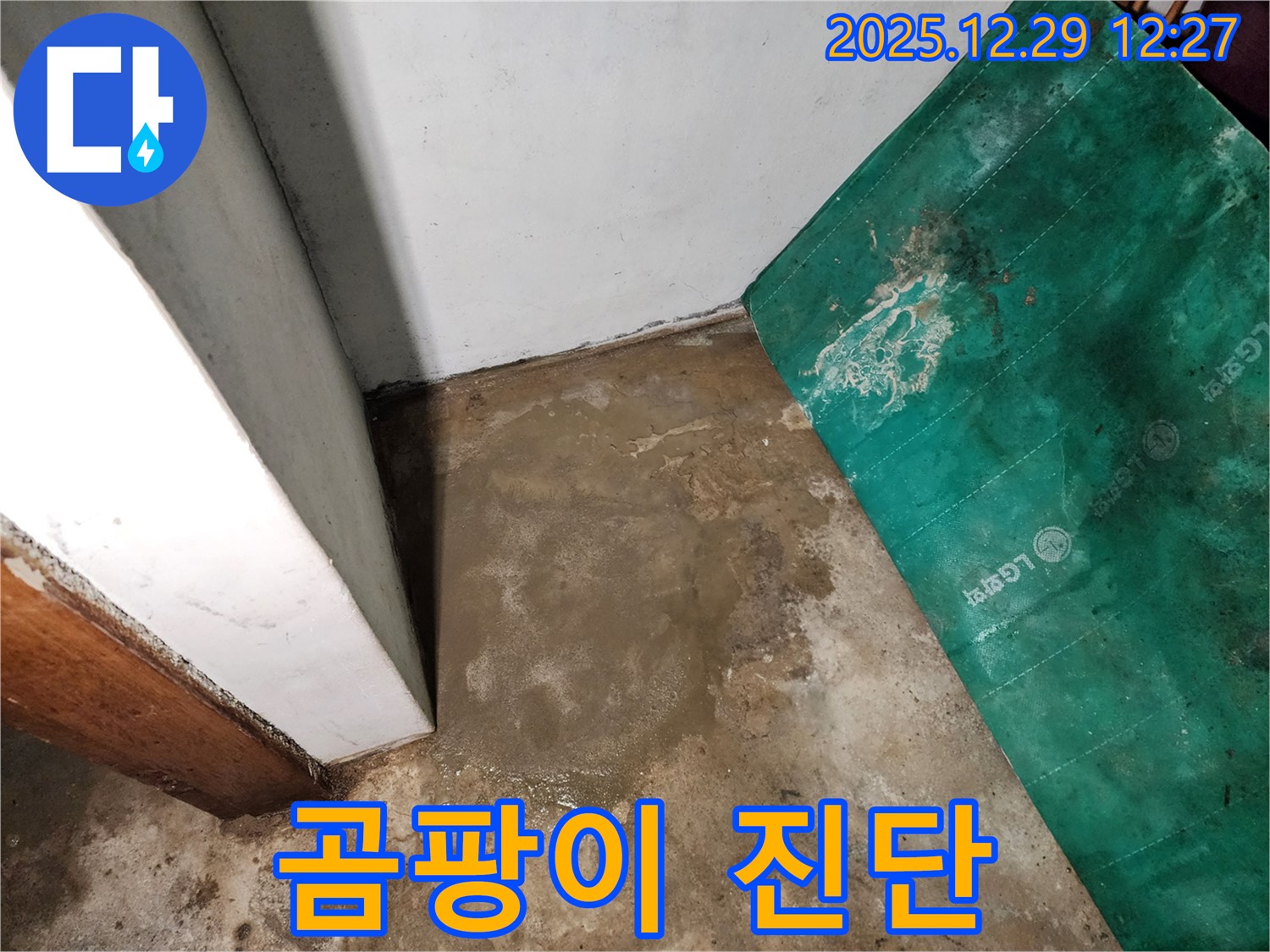 상계2동 누수 - 곰팡이 핀 지하실 - 건강 적신호
