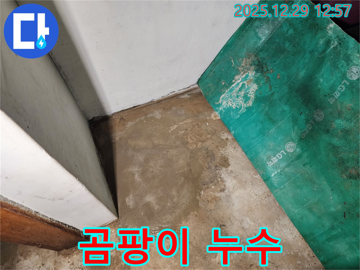상계2동 누수 - 누수 부위 곰팡이, 건강 위협