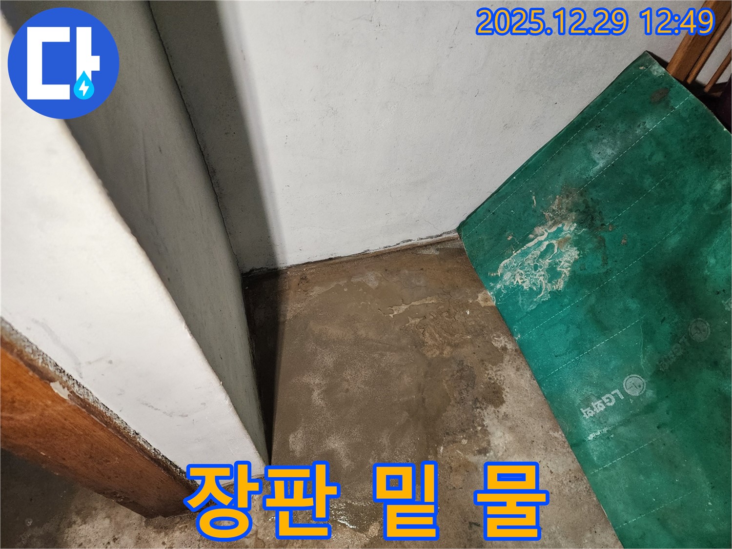 상계2동 누수 - 장판 밑에 고인 물 - 누수 진행 중