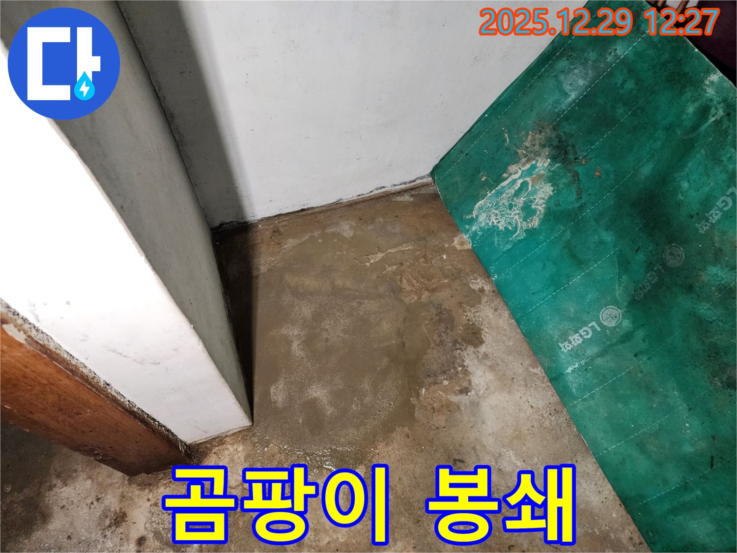 상계2동 누수 현장 - 지하실 곰팡이 아지트 - 완전 봉쇄 작전 개시