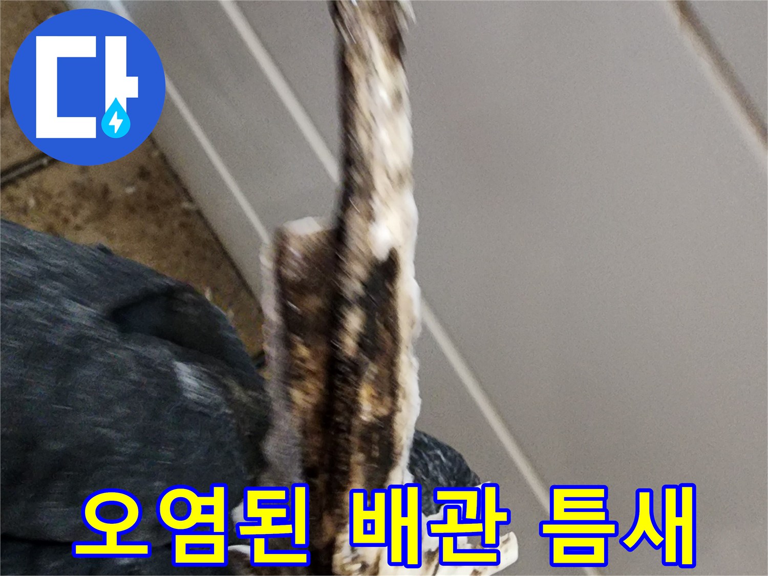 배관 주변의 오염물질과 틈새 확인 작업