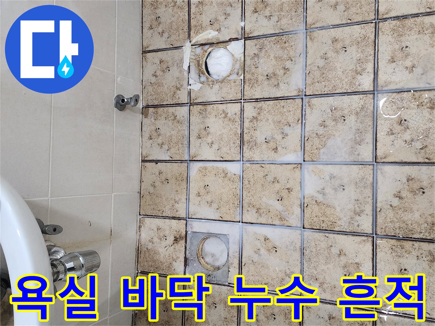 배수관-주변-타일-오염-및-이물질-퇴적