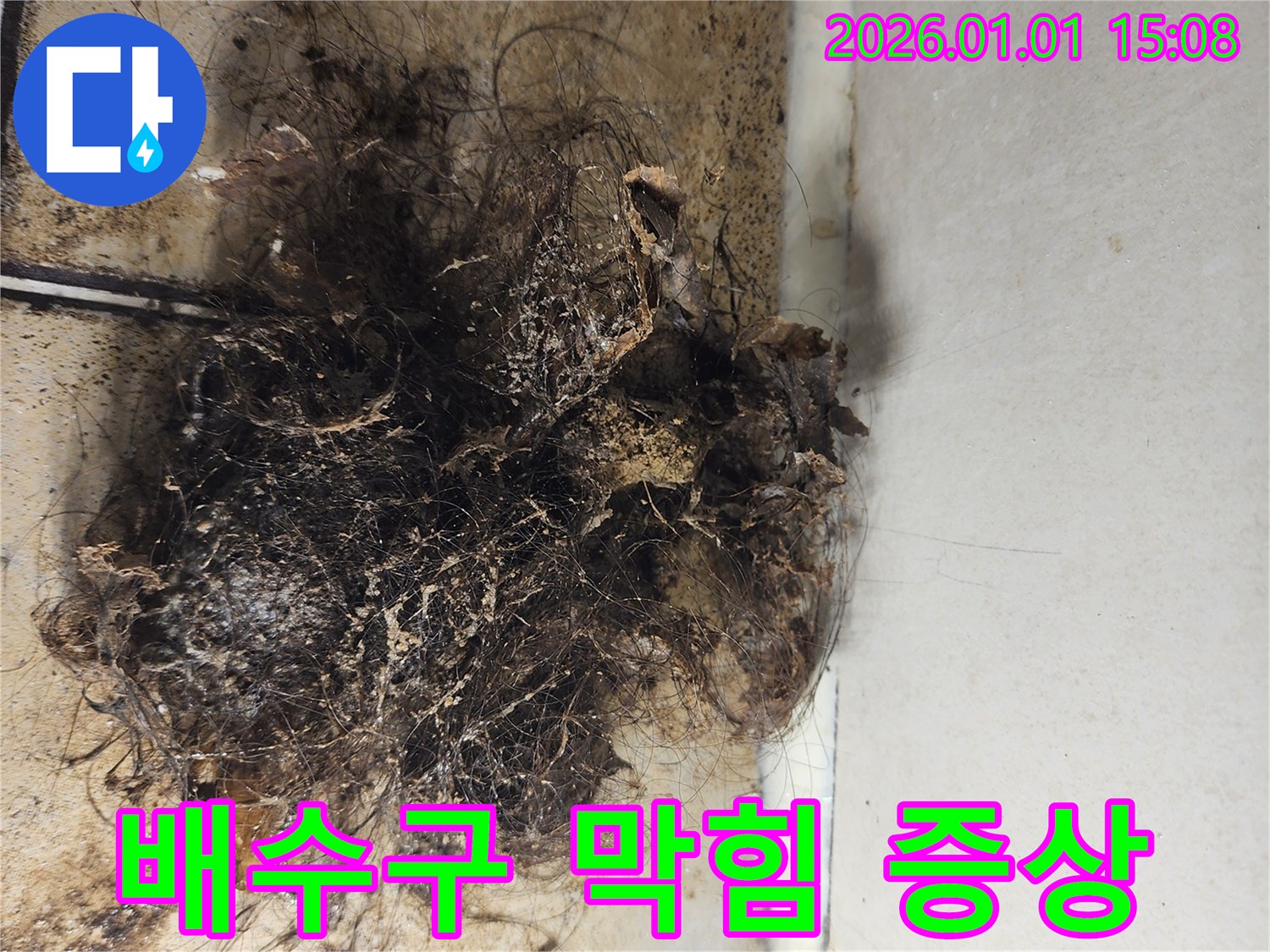 배수구 막힘 증상 - 머리카락과 이물질로 막힌 배수구 사진