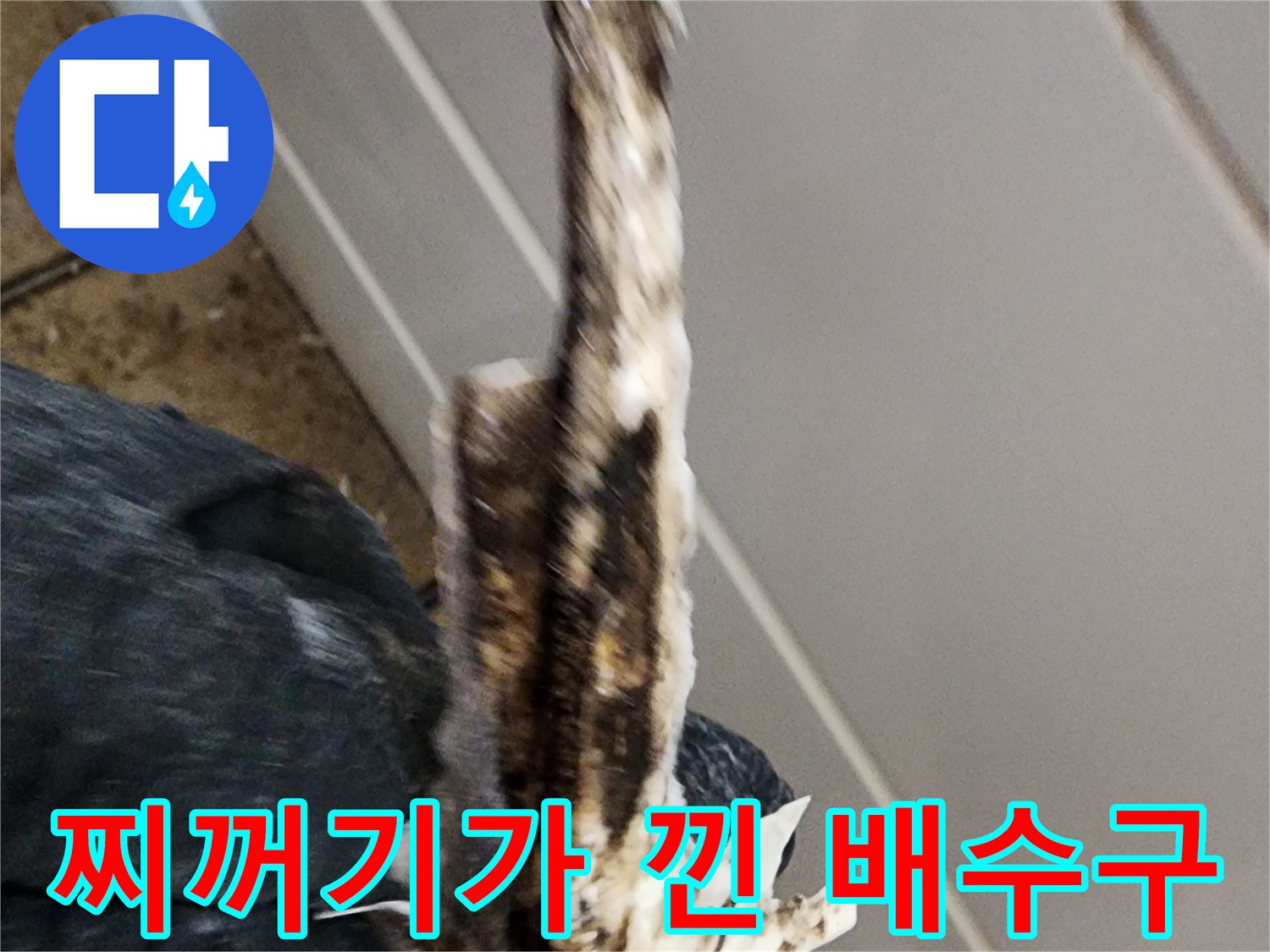 배수구-유가-틈새에-낀-오염물과-이물질