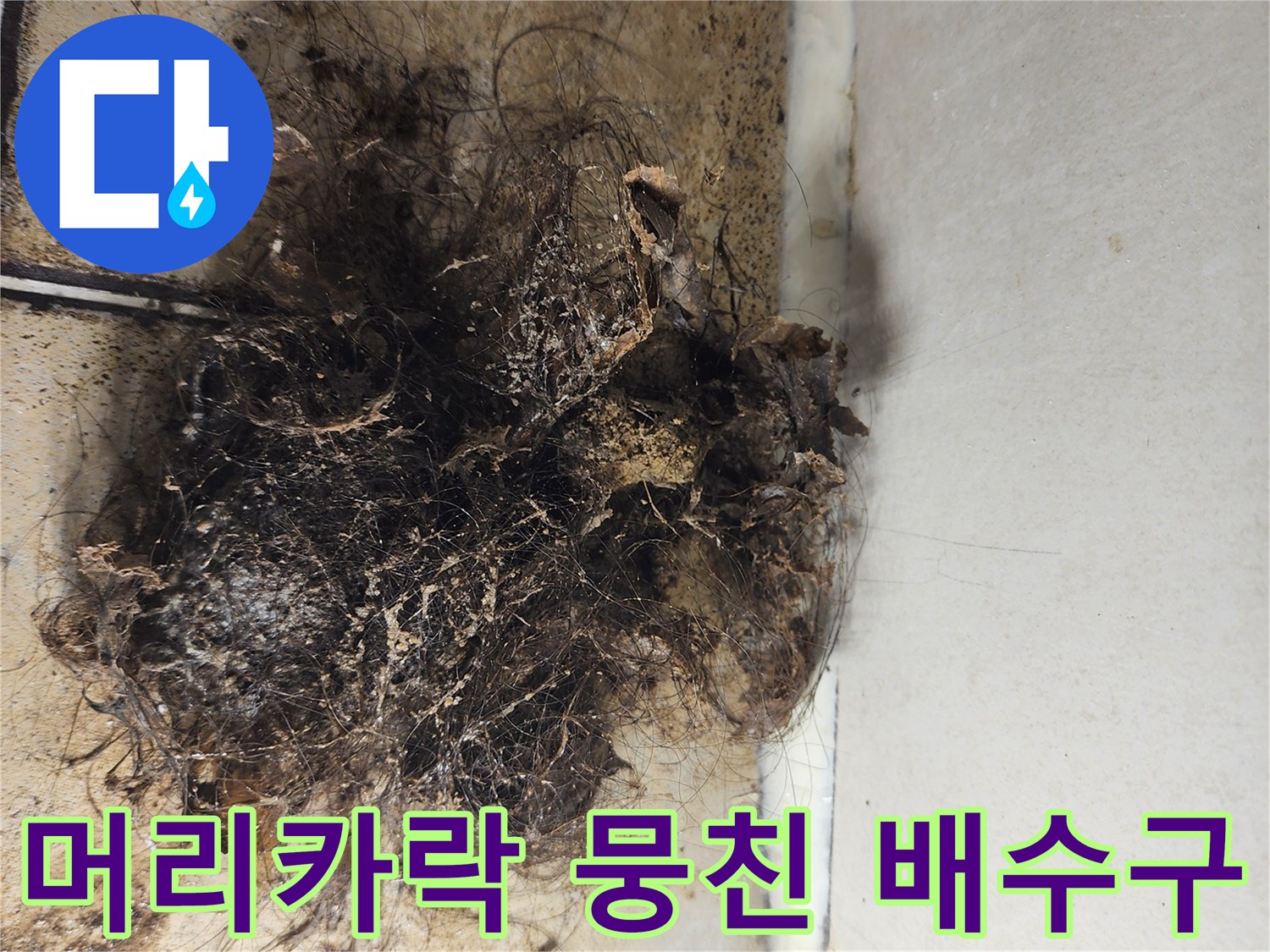 유가-주변의-심한-이물질-퇴적상태