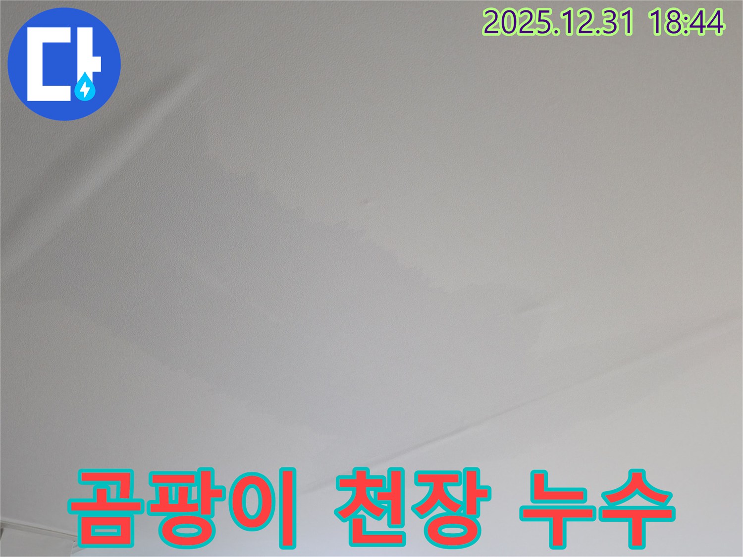 0가동 곰팡이 핀 천장 누수 해결 - 누수 해결하고 쾌적한 공간으로!