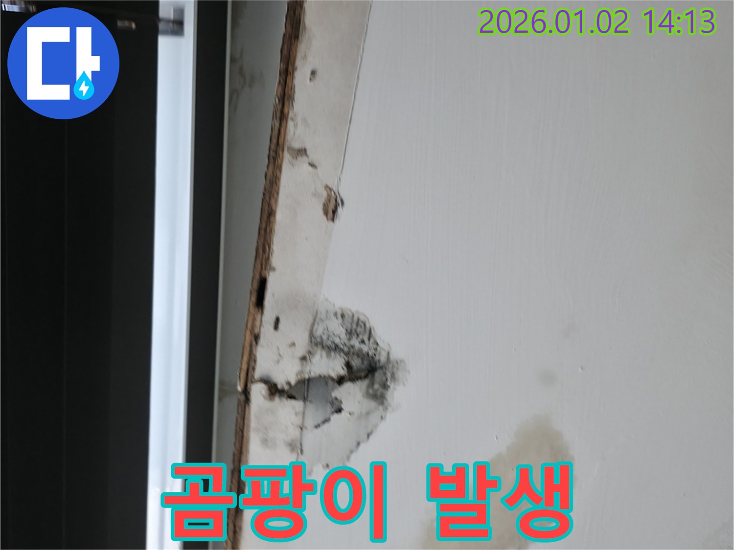 기흥구 신갈 천장 누수 - 곰팡이 발생, 건강에 해로움