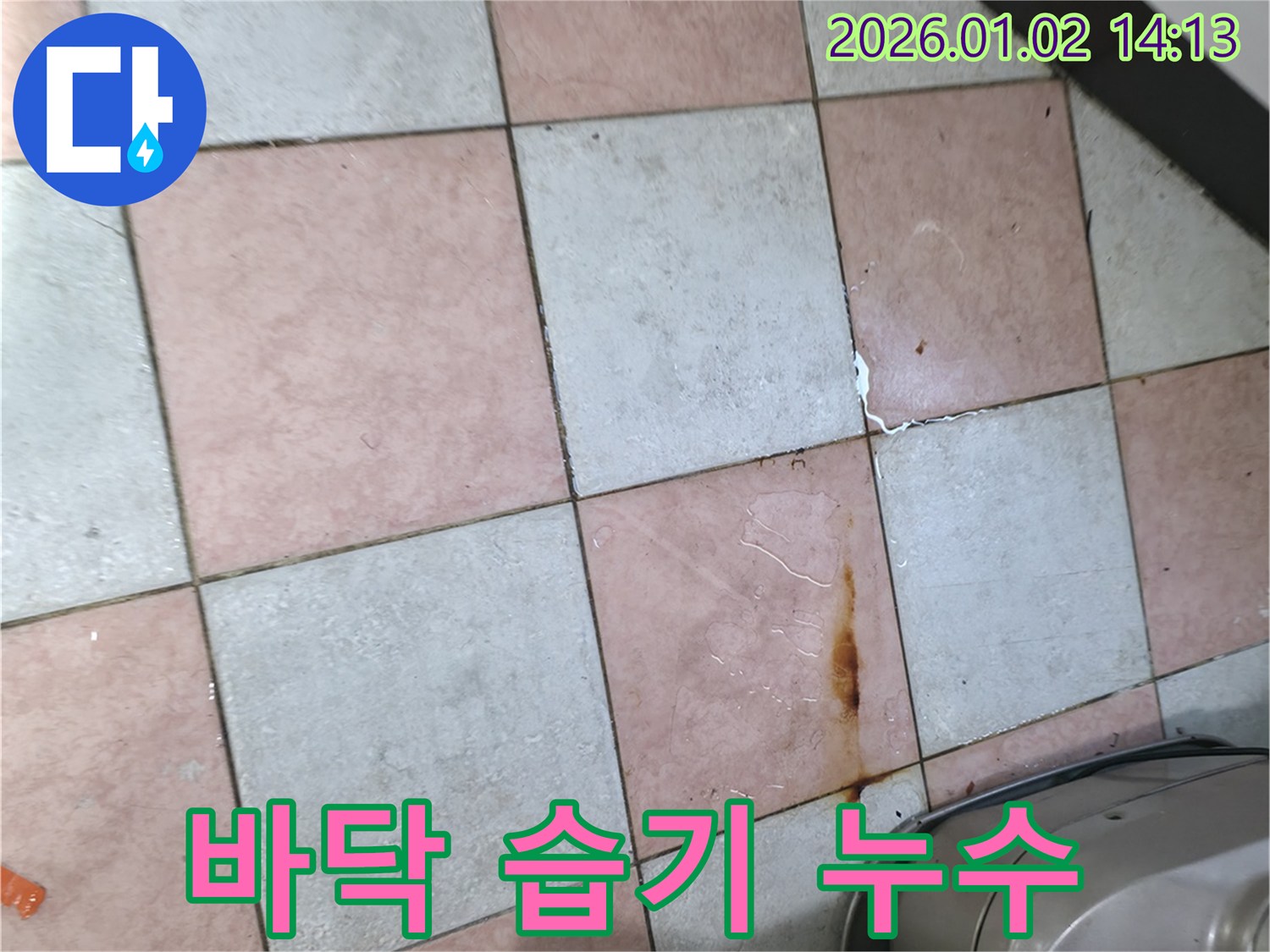 바닥에 습기가 찬 누수 - 습기 제거와 누수 차단