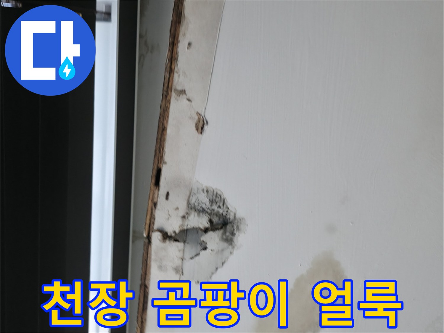 천장 마감재의-누수 및 곰팡이 오염 상태