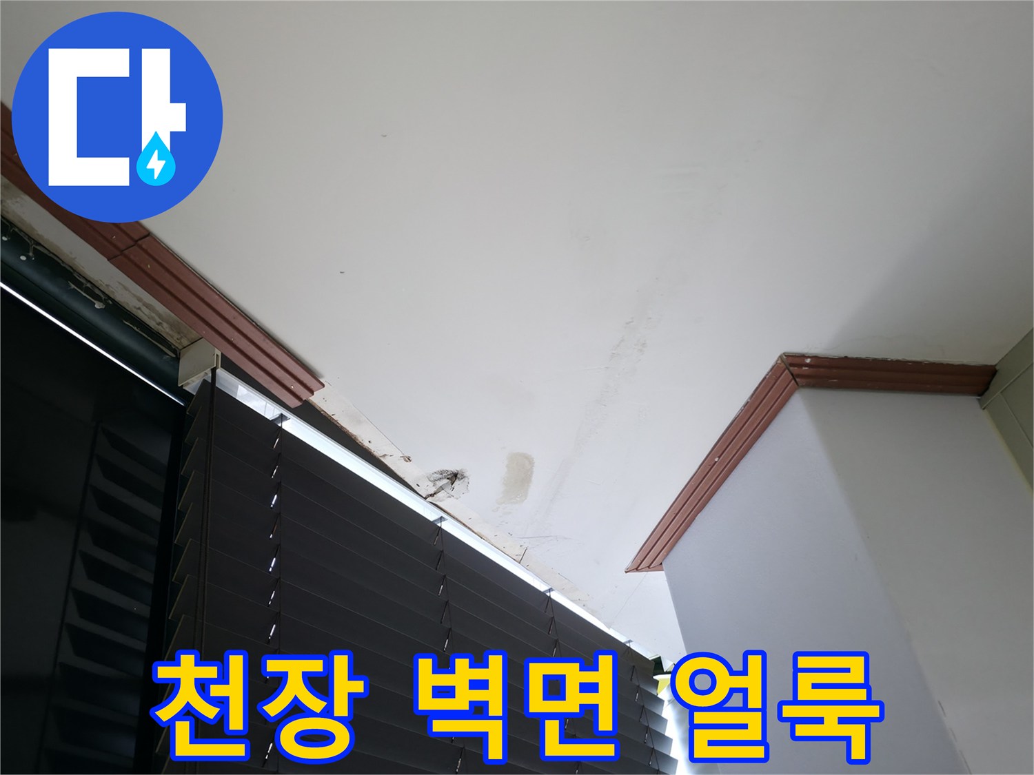 천장-몰딩-주변의-습기-및-오염-상태