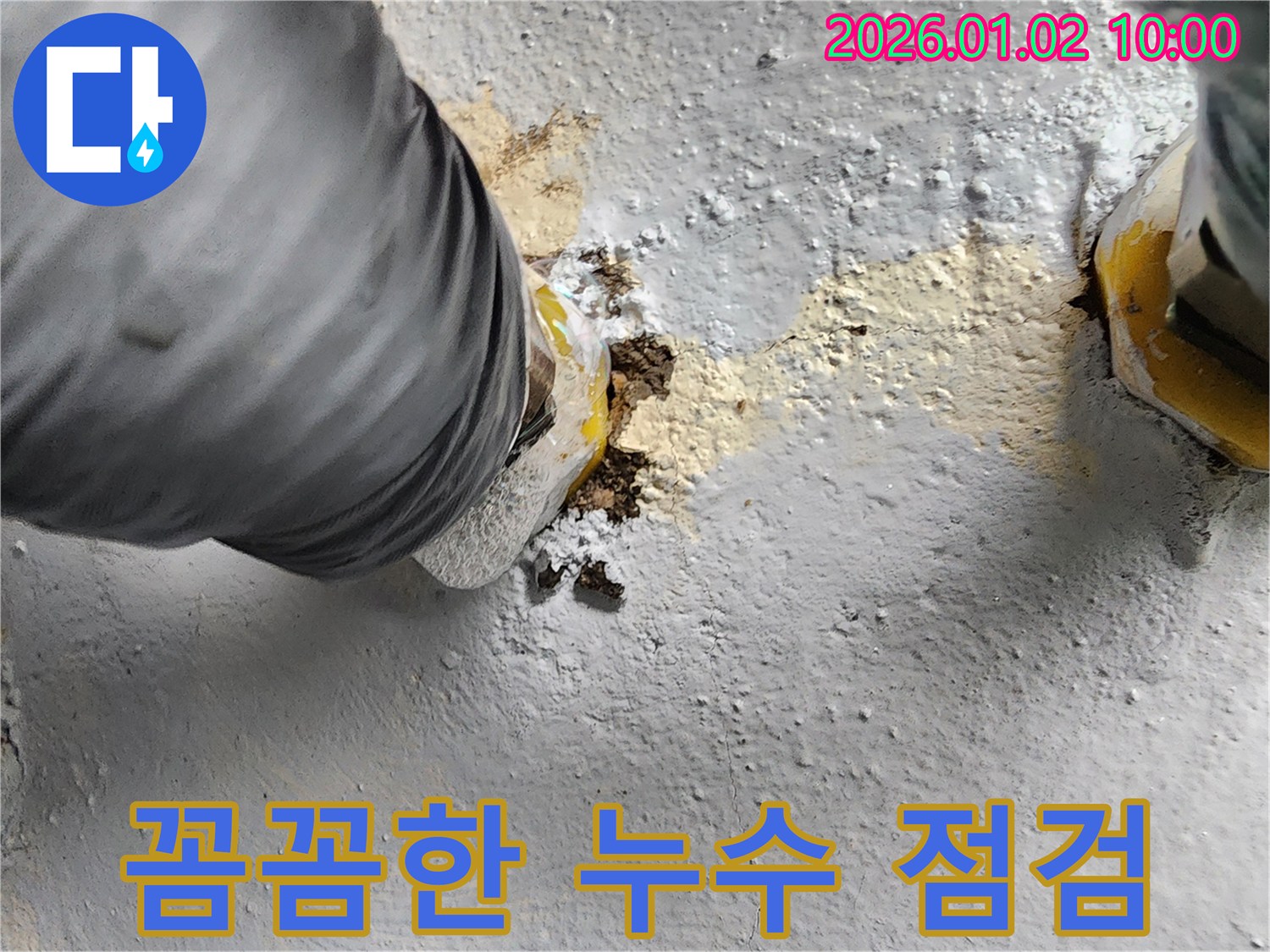꼼꼼한 누수 점검 - 누수 전문가의 세심한 점검으로 문제 해결