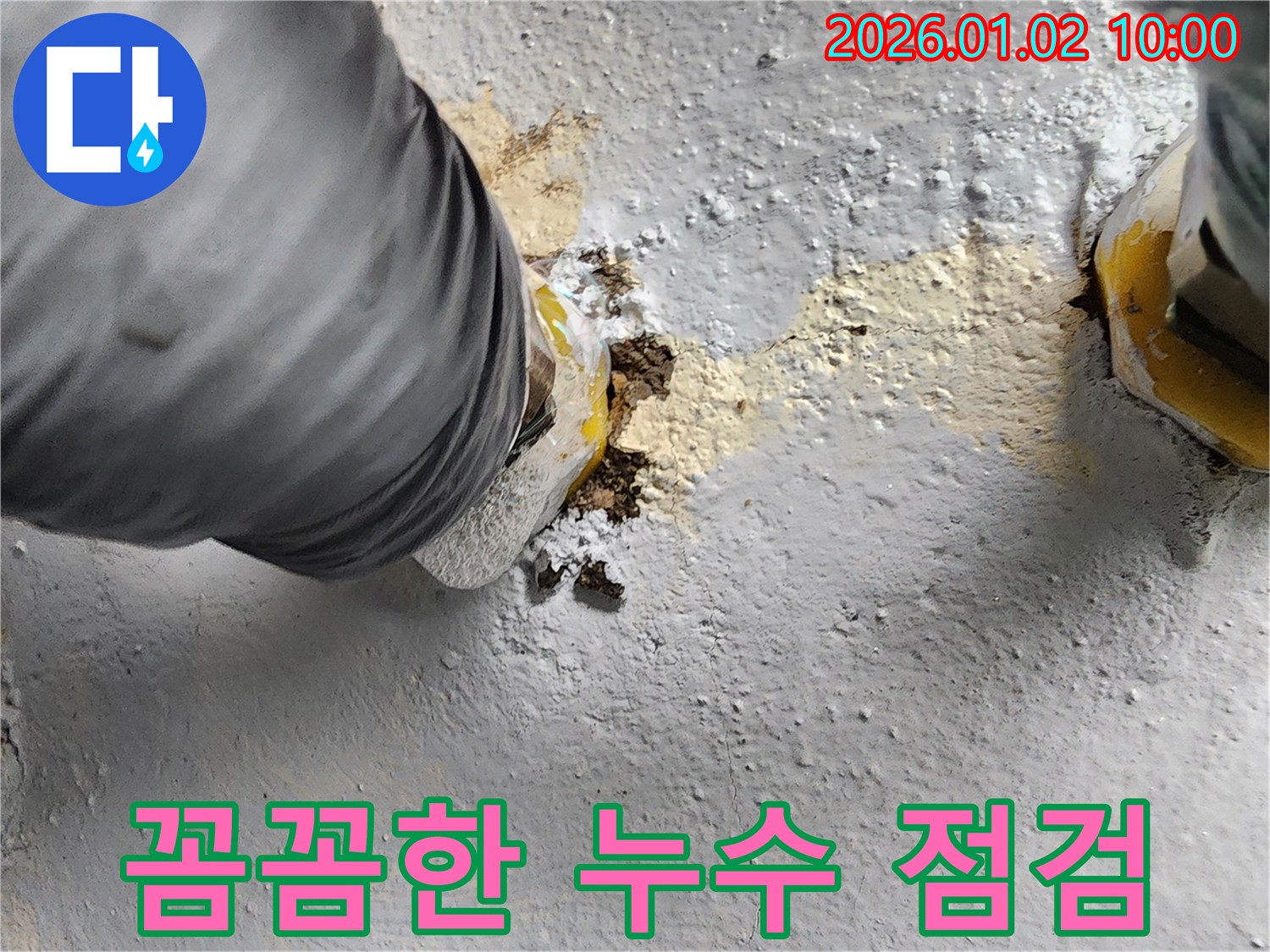 꼼꼼한 누수 점검 - 누수 전문가의 세심한 점검으로 문제 해결