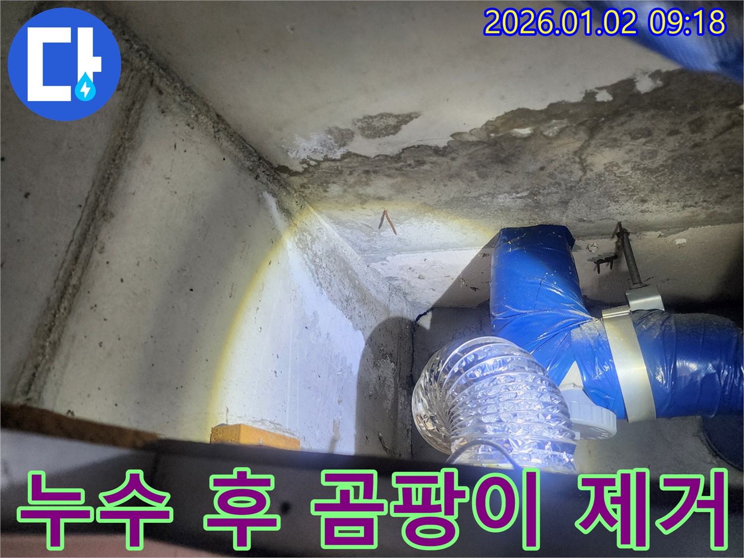 누수 후 곰팡이 제거 - 곰팡이 제거 및 방지 작업