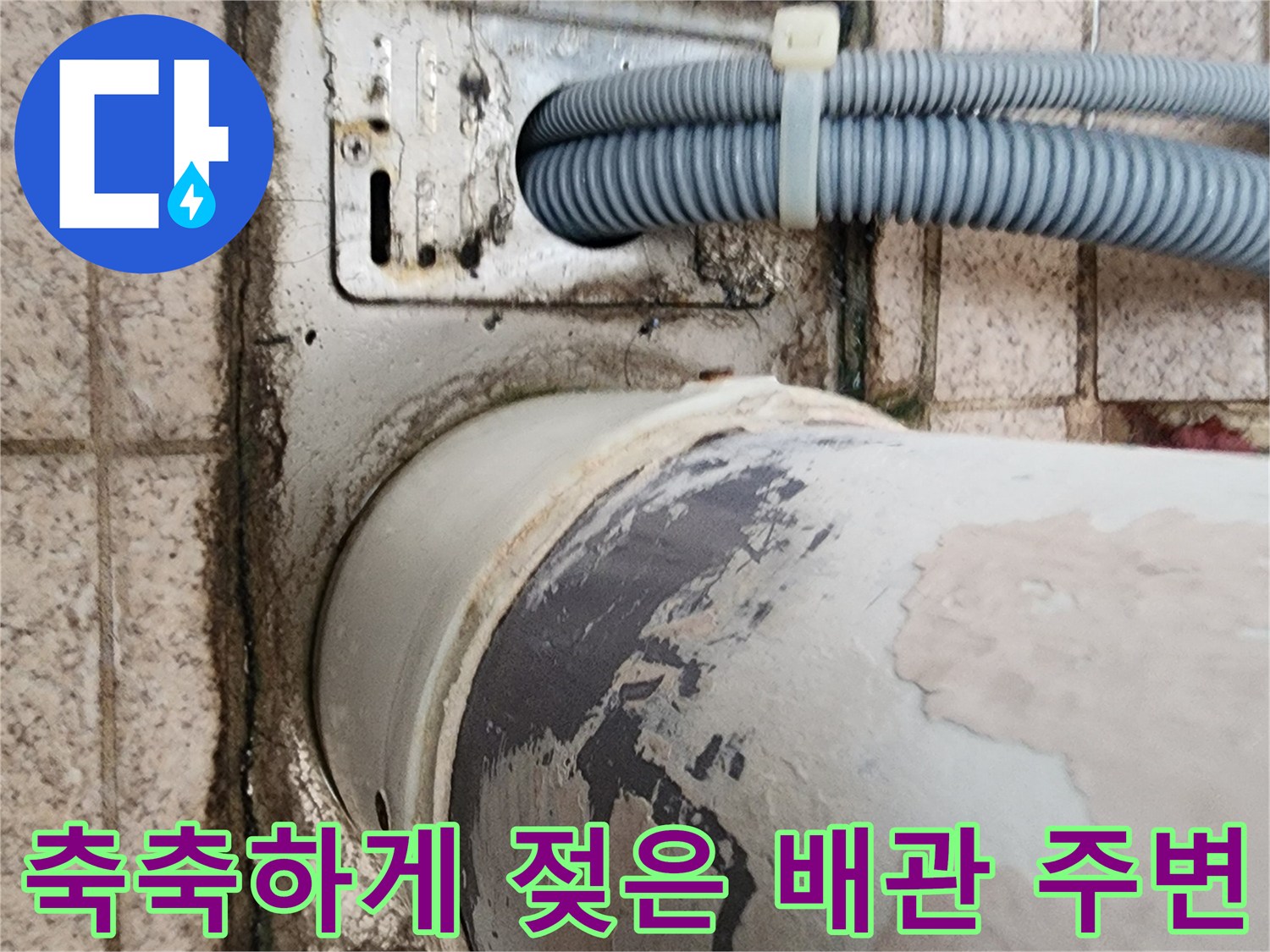 배관-주변의-습기와-검게-변한-마감재