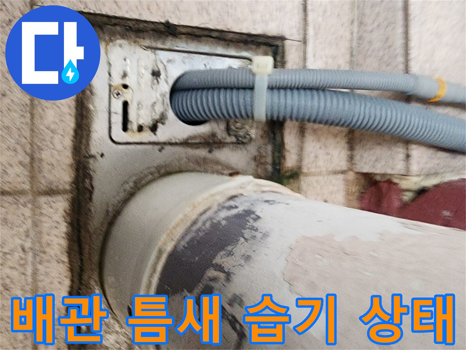 배수관과 유가 사이의 물 고임 및 변색 흔적
