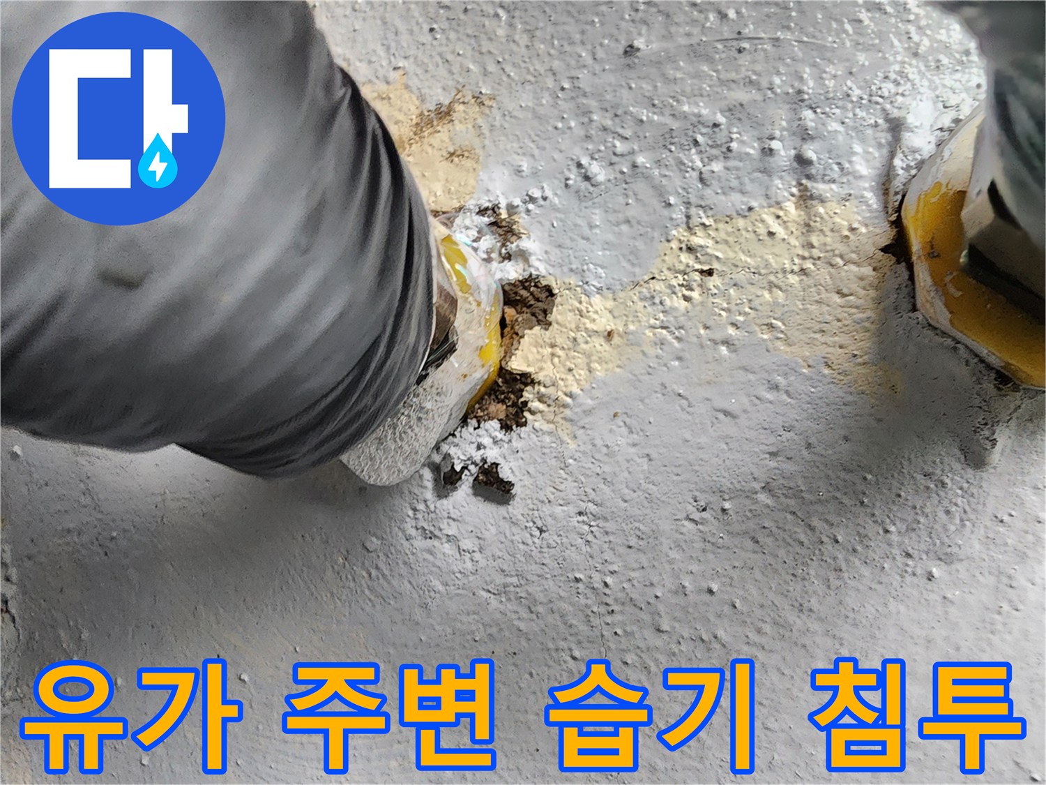 배수구-주변-타일-사이의-물샘-및-습기-상태