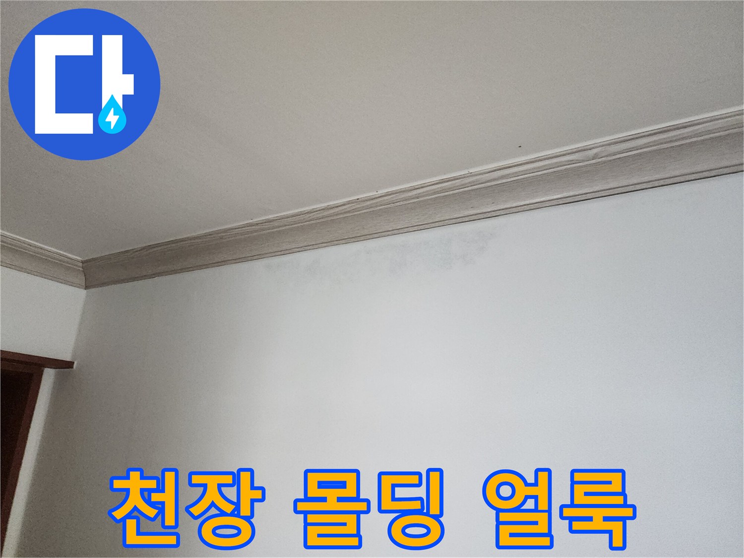 상계 누수 현장의 벽면 변색 부위 촬영