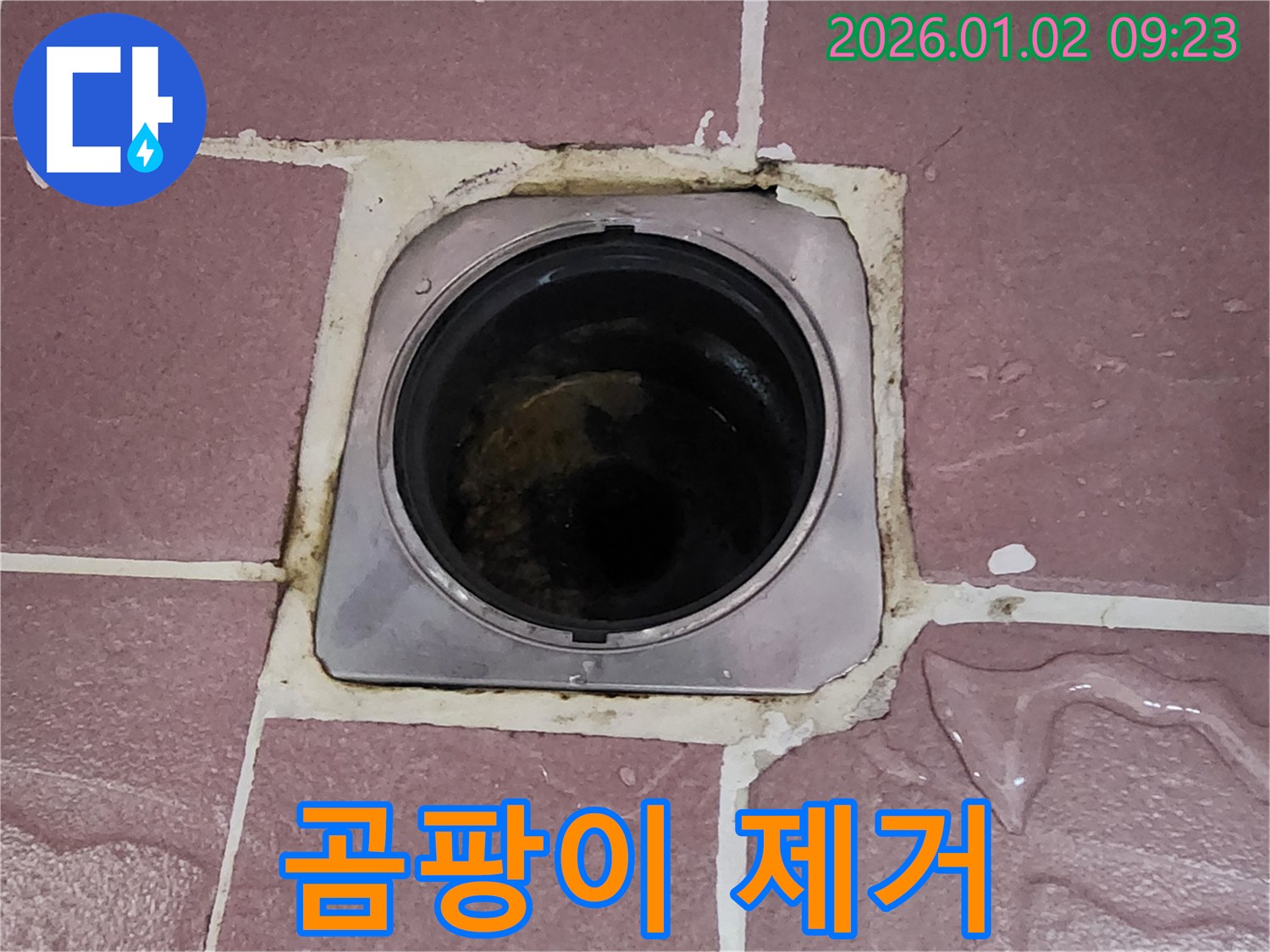 상계9동 누수 - 욕실 배수구 주변 누수 해결과 곰팡이 제거 서비스