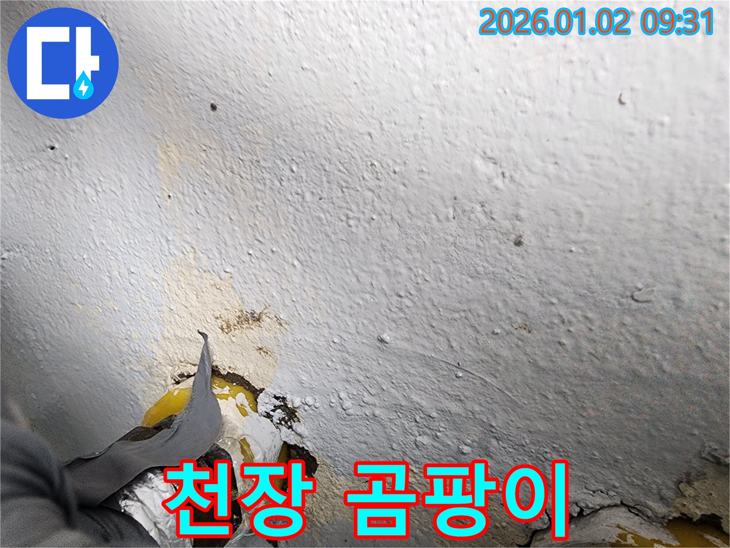 상계9동 누수 - 천장 곰팡이 발생, 완벽하게 제거해 드립니다.