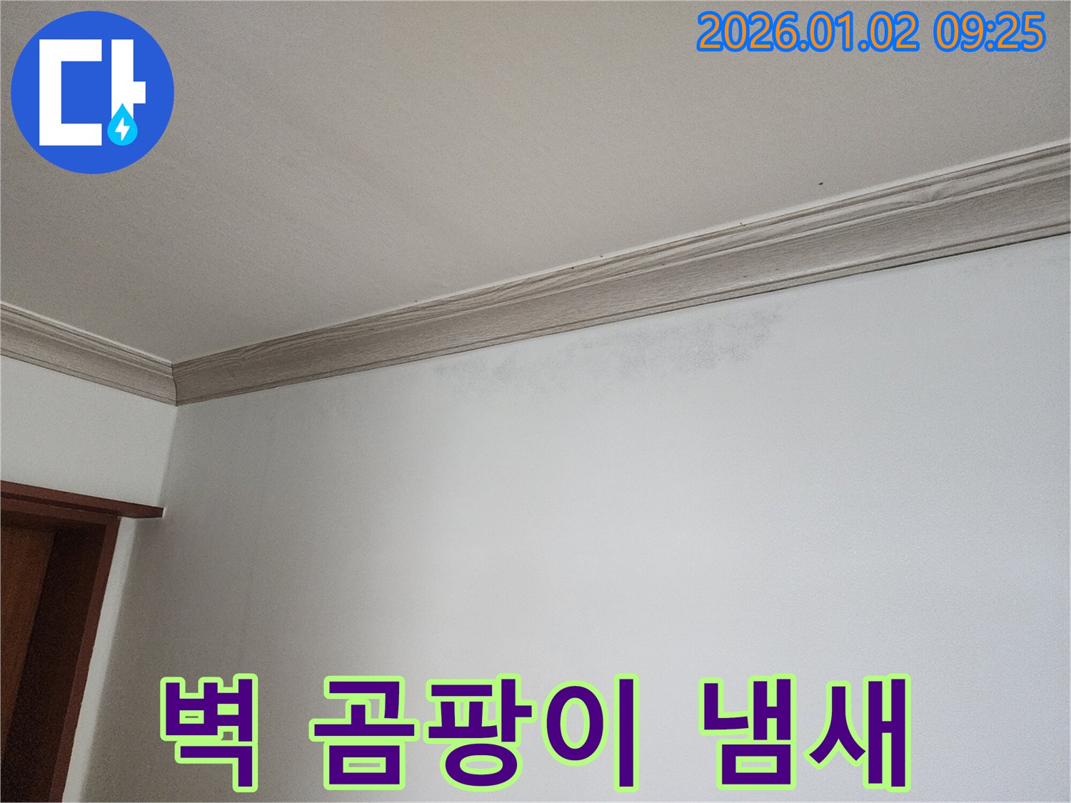 상계9동 벽 누수 - 곰팡이 냄새, 건강 위협