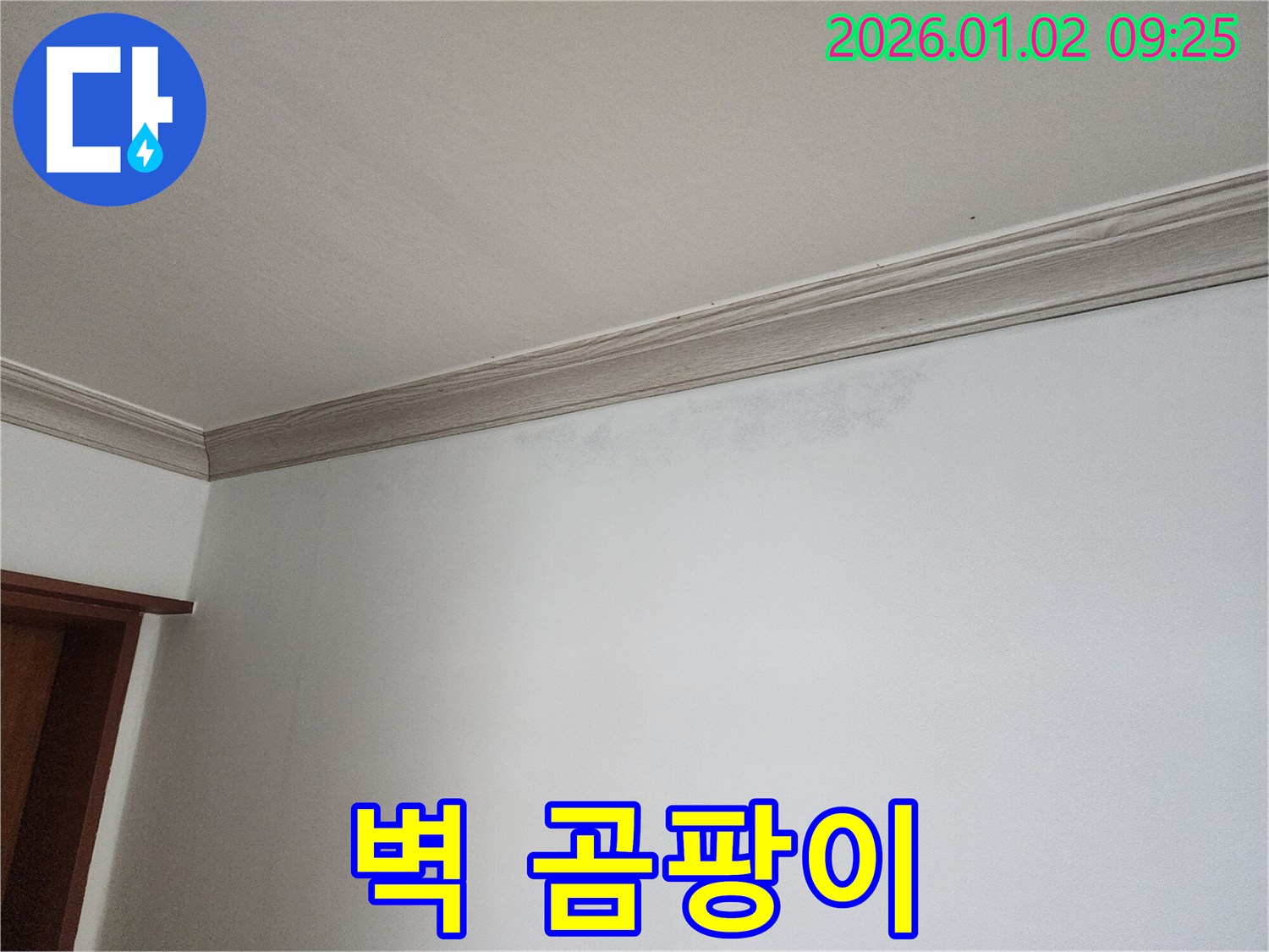 상계9동 벽 누수 - 벽 곰팡이