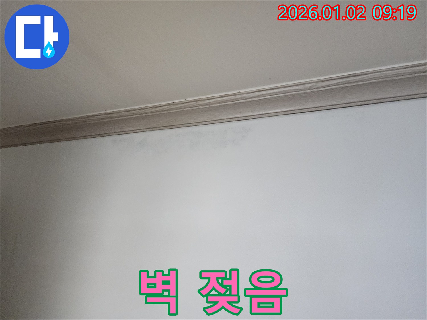 상계9동 벽 누수 - 벽 젖음 및 곰팡이 발생 가능성