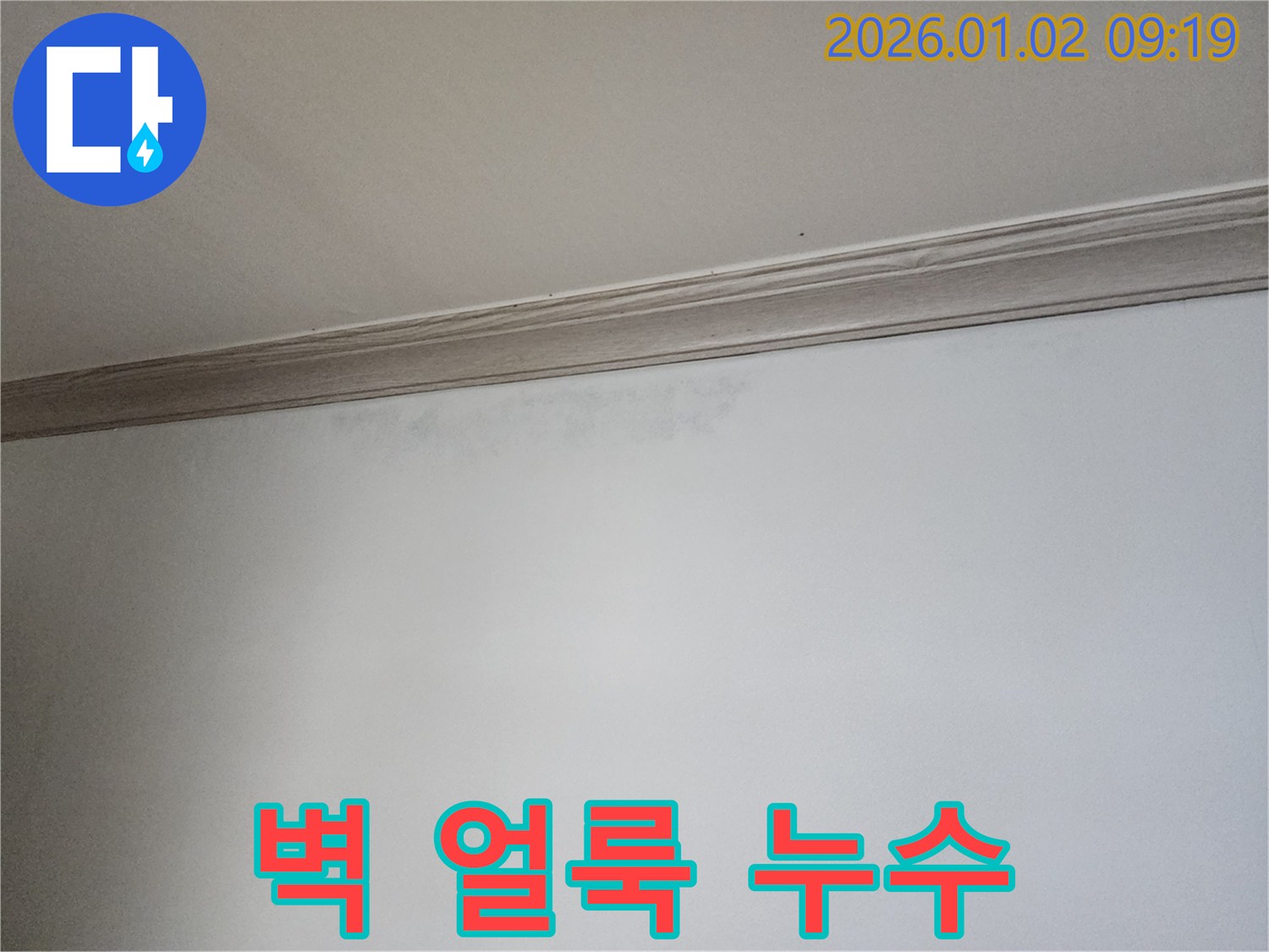 상계9동 벽 얼룩 - 누수 초기 증상 의심