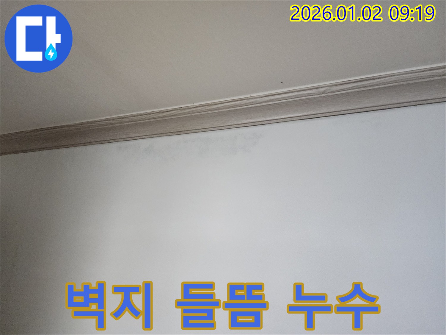 상계9동 벽지 들뜸 - 누수 초기 증상 - 빠른 대처