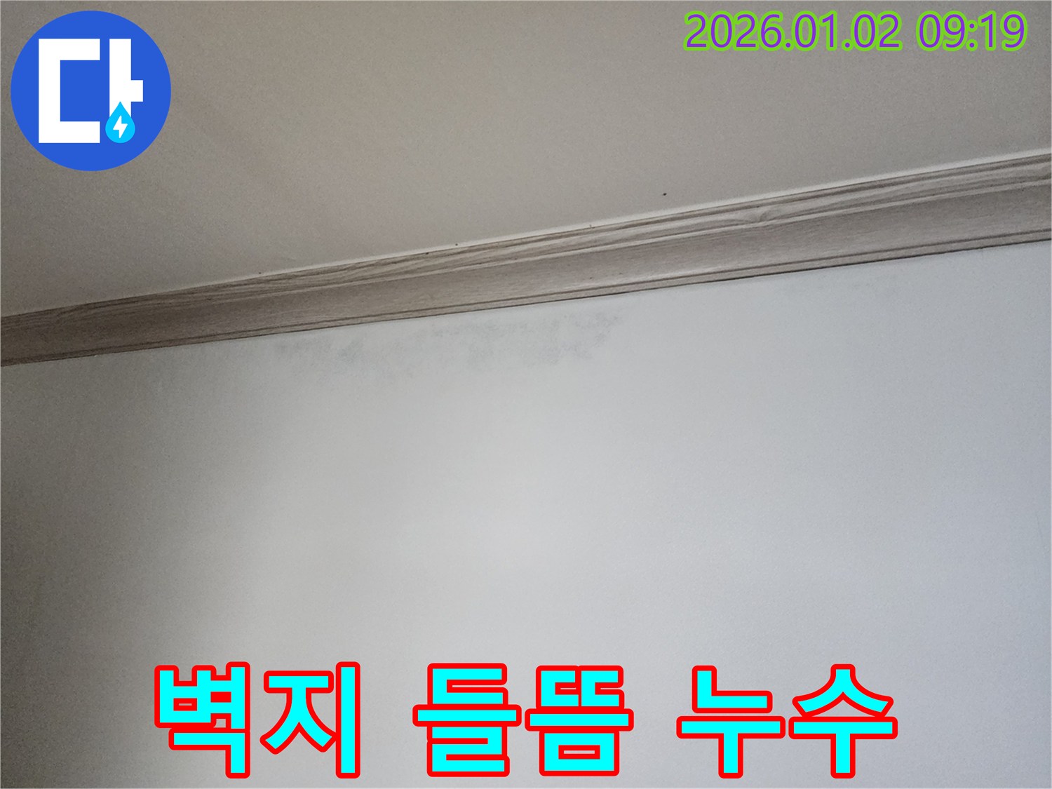 상계9동 벽지 들뜸 - 누수 초기 증상 - 빠른 대처