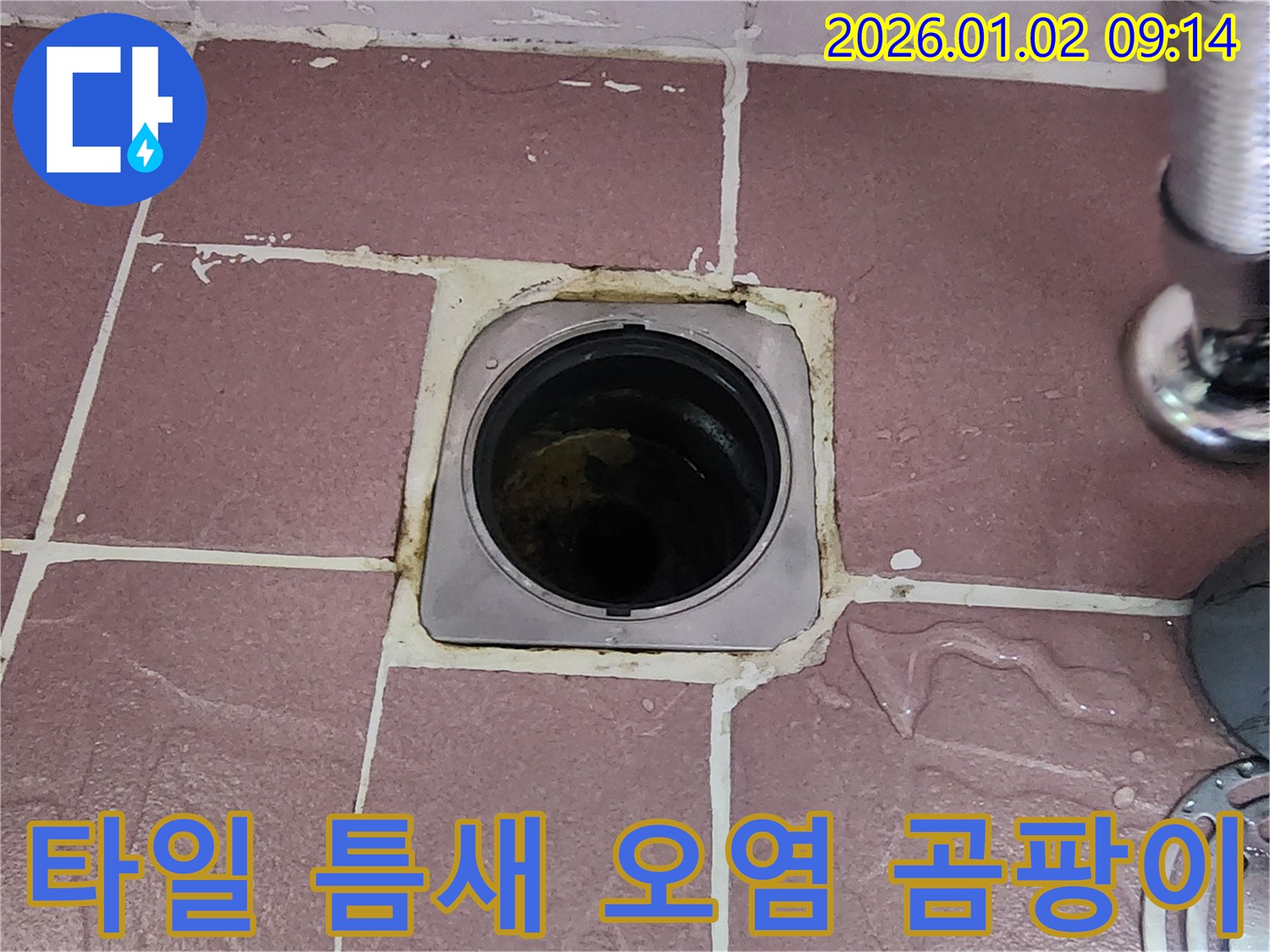 상계9동 욕실 배수구 - 타일 틈새 오염, 곰팡이 발생 및 누수 위험 증가
