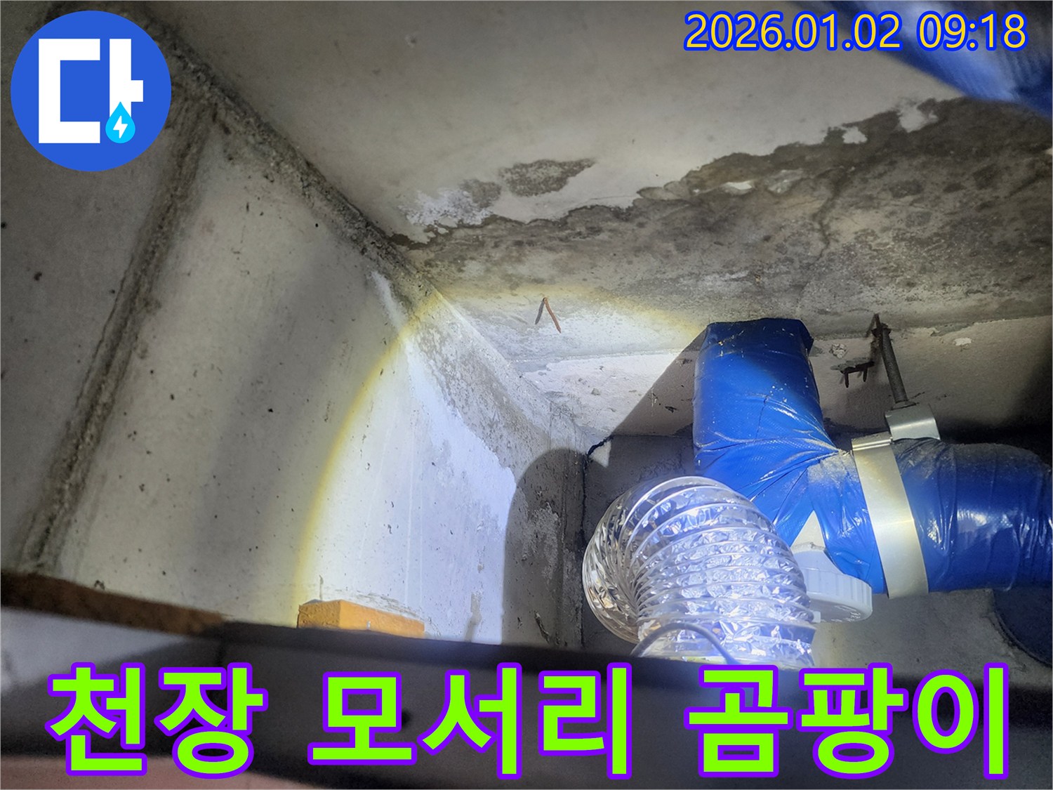 상계9동 천장 모서리 곰팡이 - 누수 흔적과 곰팡이 발생