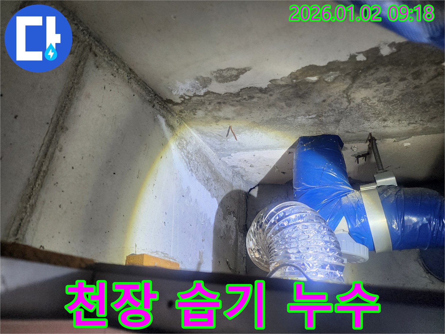 상계9동 천장 습기 누수 - 천장 습기 흔적과 곰팡이 발생