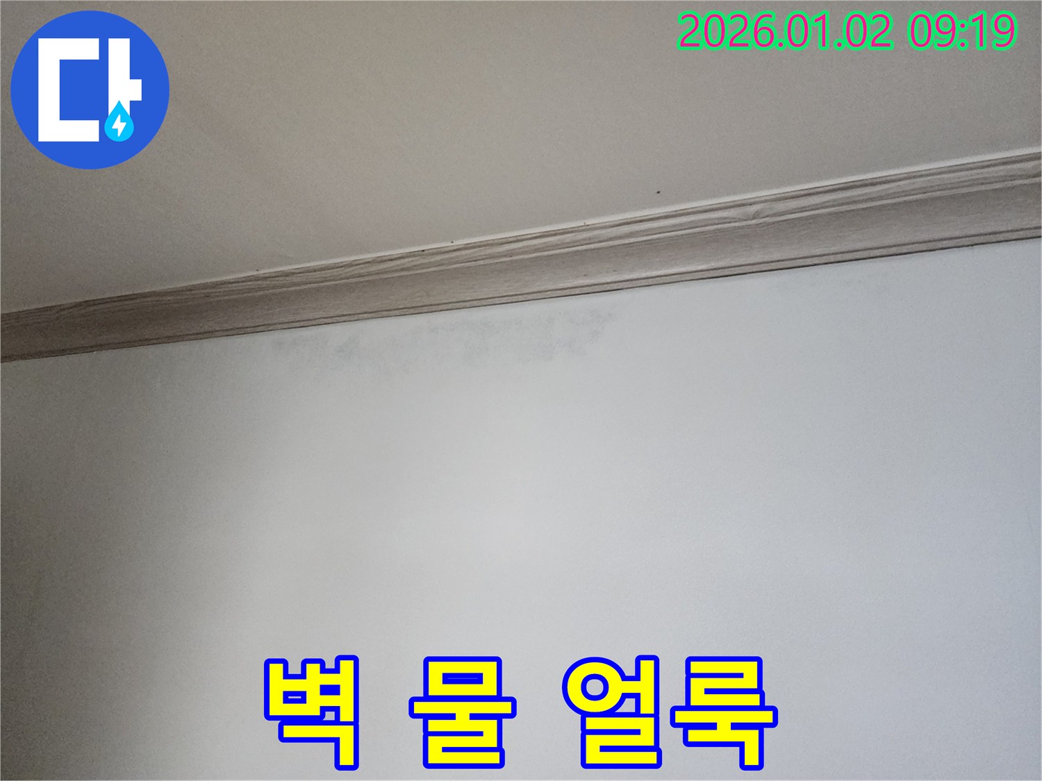 상계동 벽 물 얼룩 - 누수 방치 시 문제점