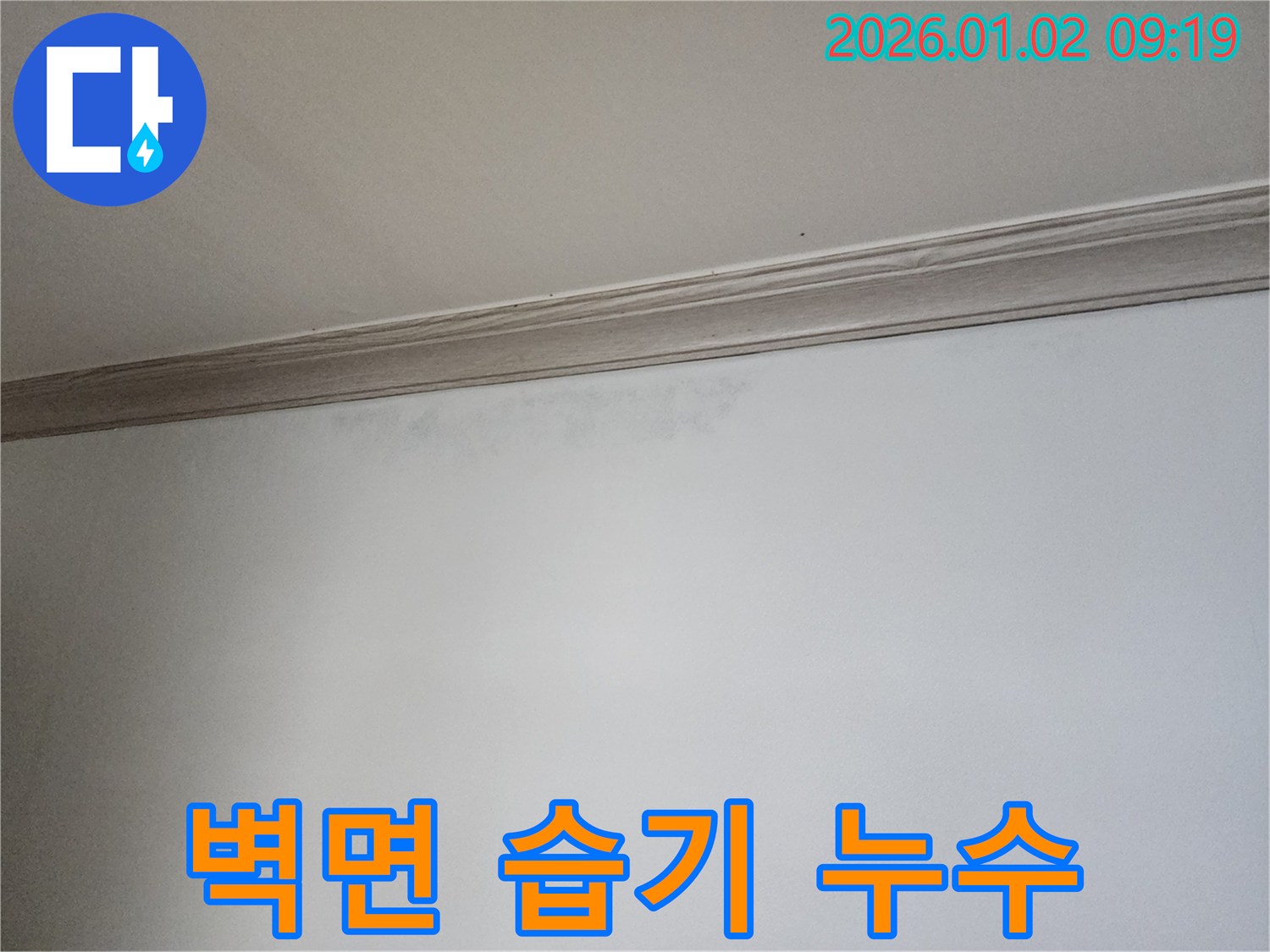상계동 벽면 습기 - 누수 초기 증상 의심