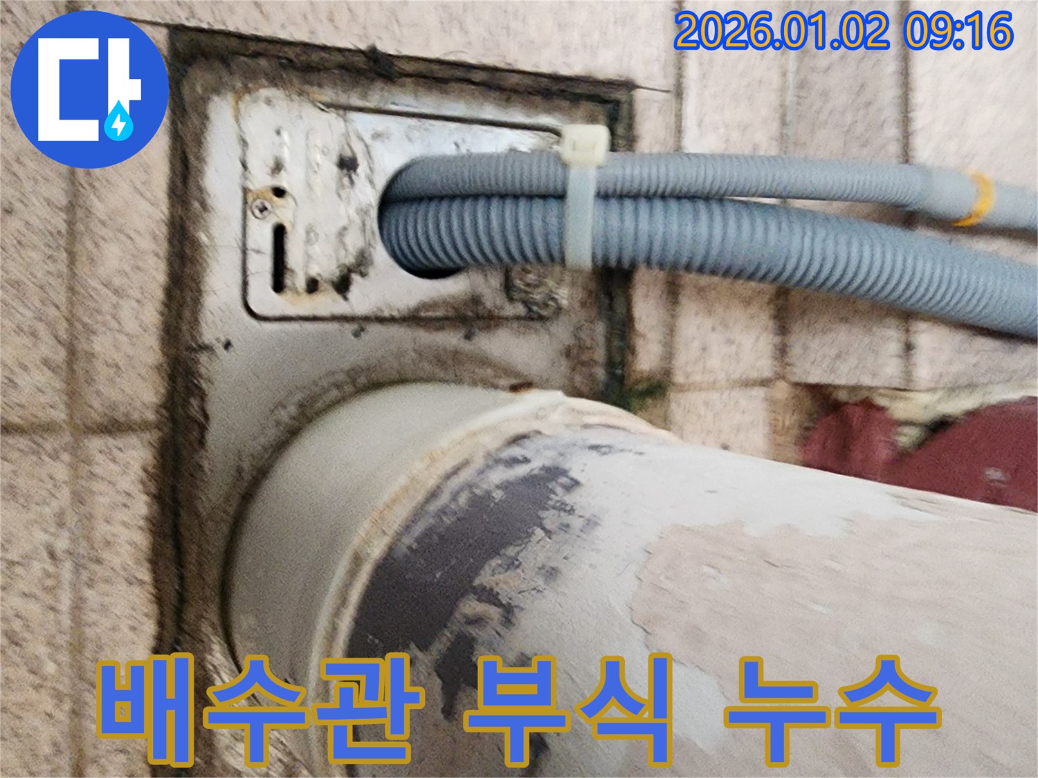 세탁기 배수구 주변 배수관 연결 부위 부식 - 배수관 연결 부위가 부식되어 틈새가 생기고 누수가 발생하고 있습니다.