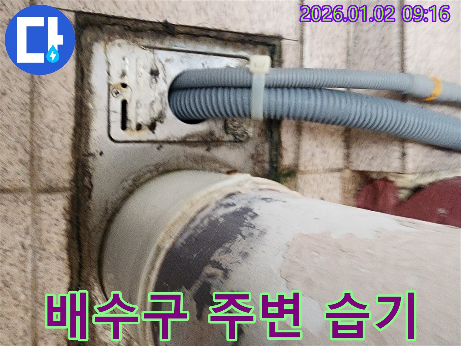세탁기 배수구 주변 습기 - 배수구 주변에 습기가 차 있어 누수 가능성을 점검하고 있습니다.