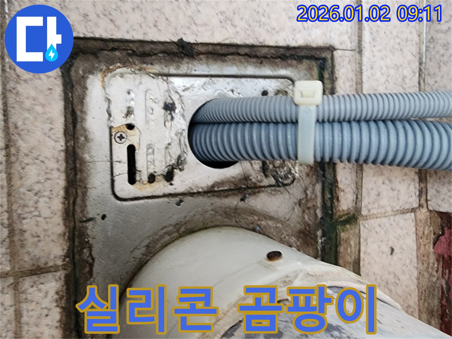 세탁기 배수구 주변 실리콘 곰팡이 제거 및 재시공 - 상계9동 누수 전문가가 깔끔하게!