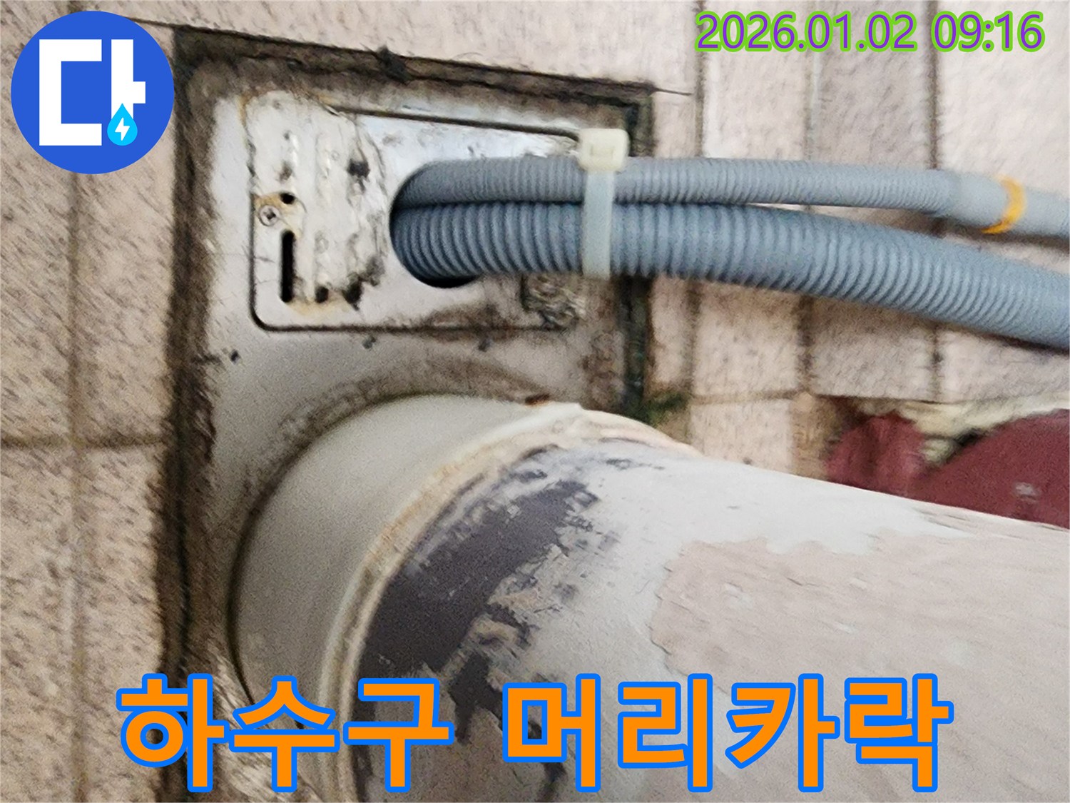 하수구 내부 머리카락 - 하수구 내부에 머리카락이 엉켜 막힘을 유발하고 있습니다.