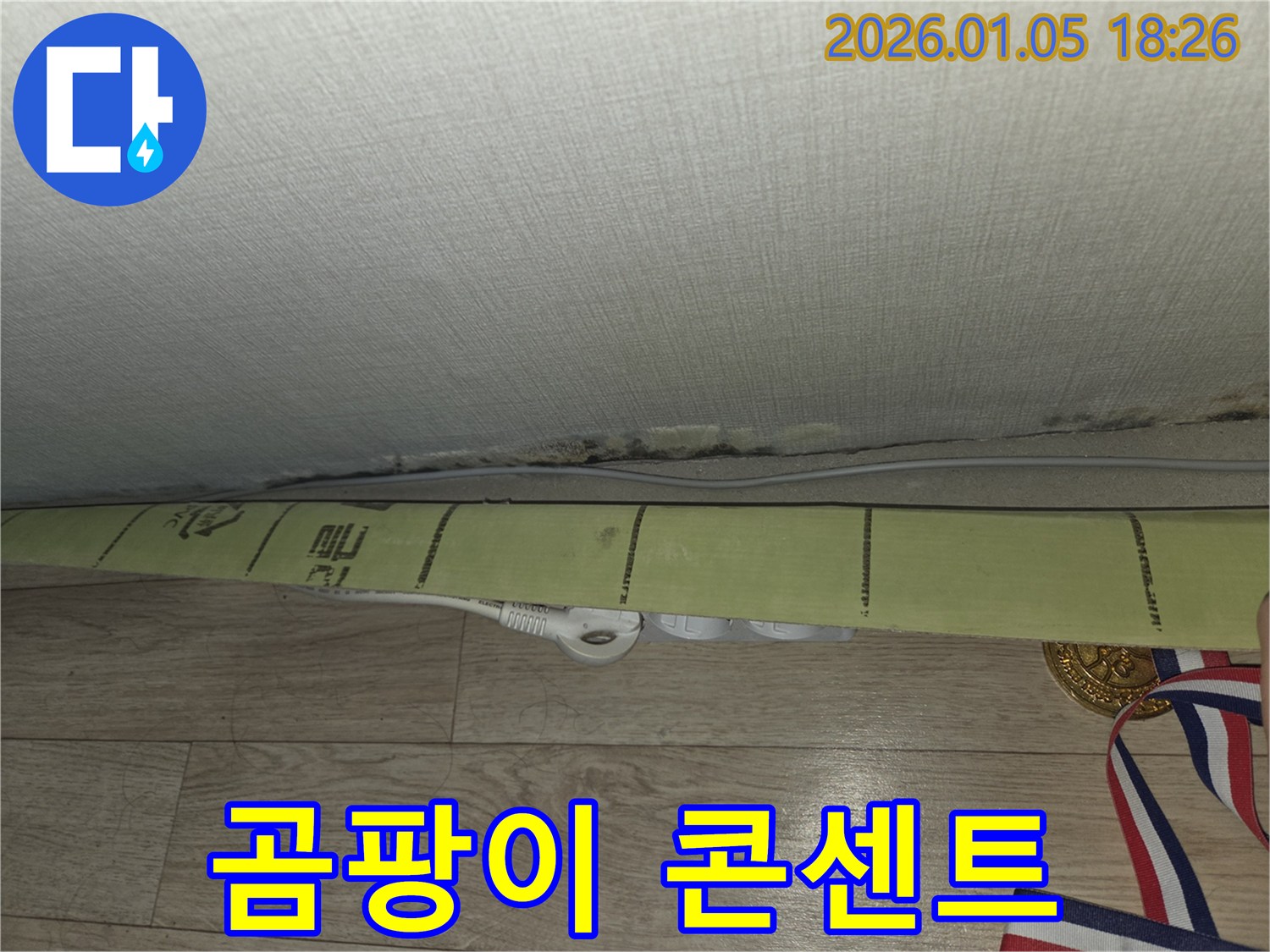곰팡이 핀 콘센트 - 전기 안전에 적신호가 켜졌습니다.