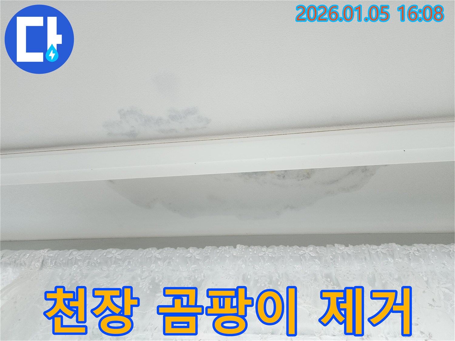 노원구 아파트 천장 누수 - 곰팡이 제거 서비스