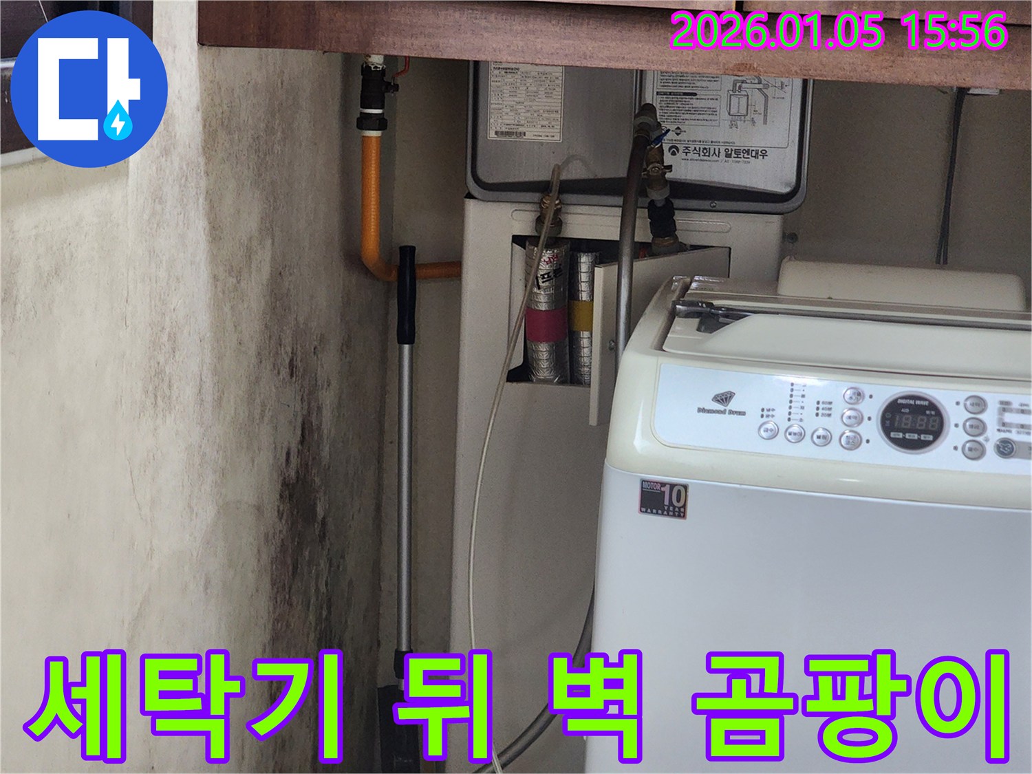세탁기 뒤 벽 곰팡이 - 누수 탐지 및 곰팡이 제거 시공