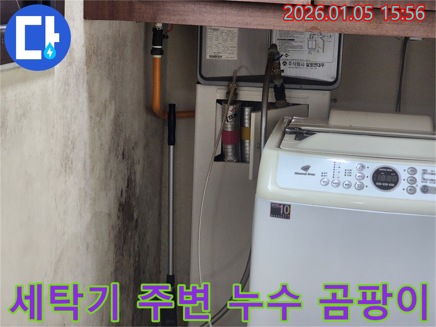 세탁기 주변 누수 - 곰팡이 문제 해결을 위한 누수탐지 및 보수 작업