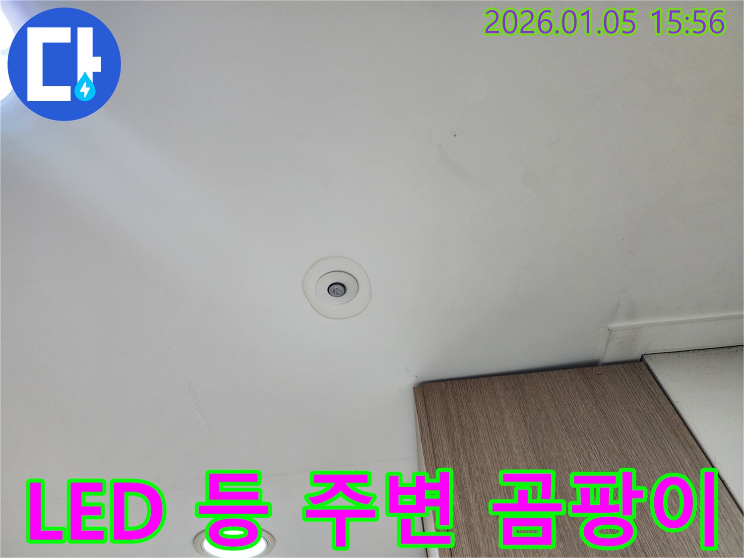 천장 LED 등 주변 곰팡이 발생 - 누수와 곰팡이의 연관성