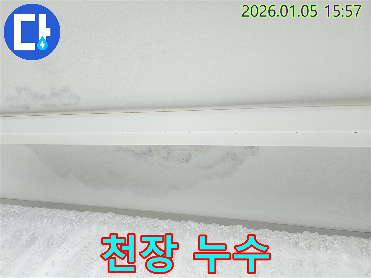 천장 누수 - 곰팡이 발생