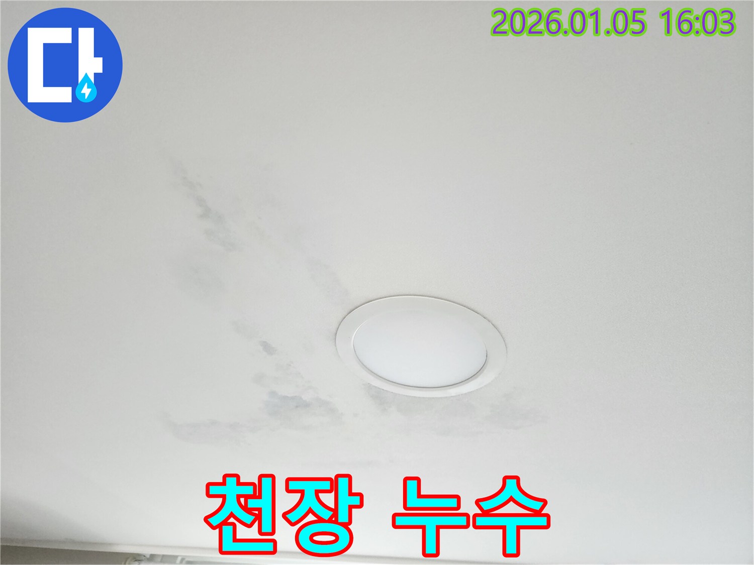 천장 누수 - 첨단 장비 - 정확한 진단