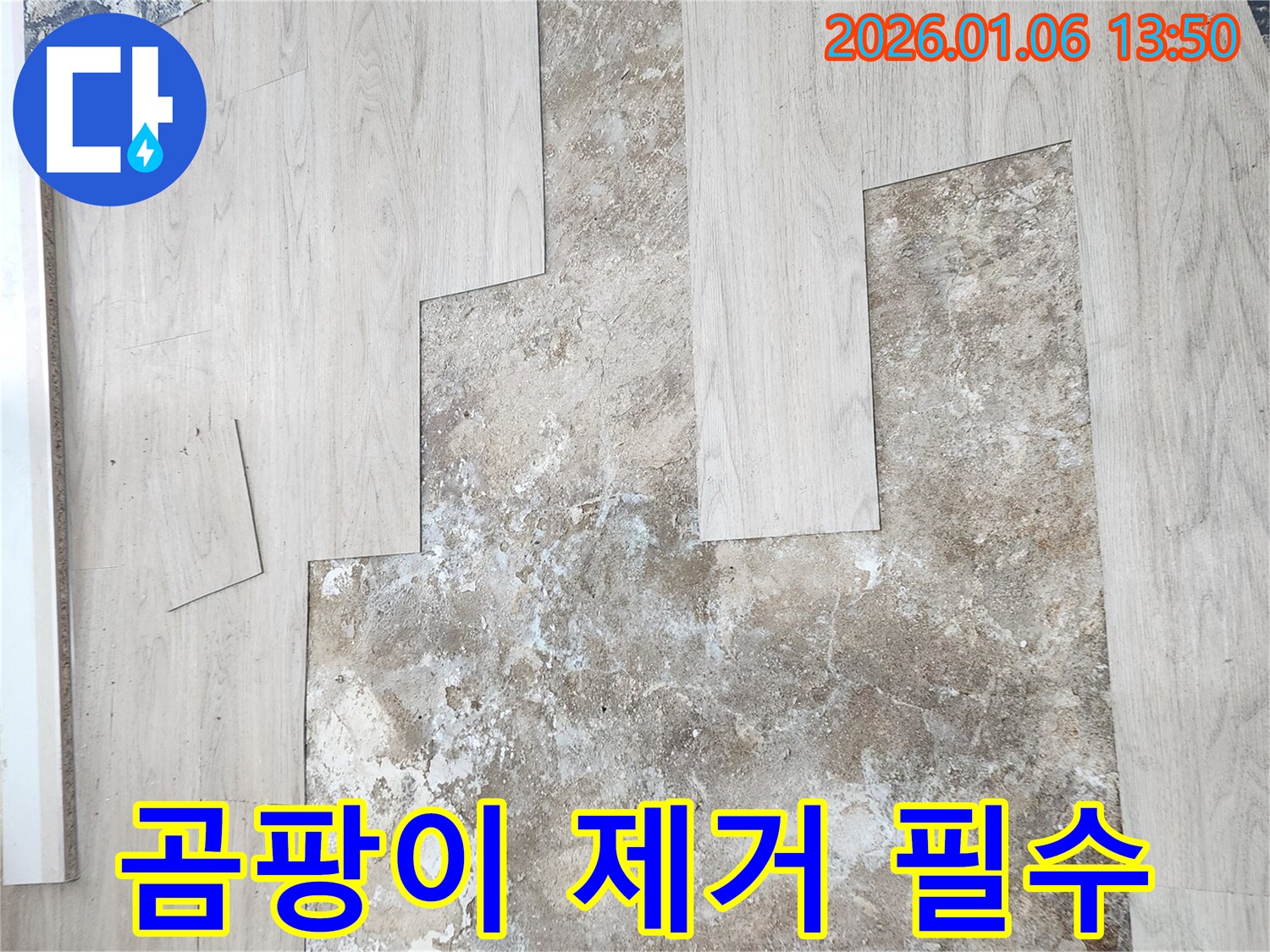 동두천 생연동 누수 - 젖은 바닥 곰팡이 제거 작업
