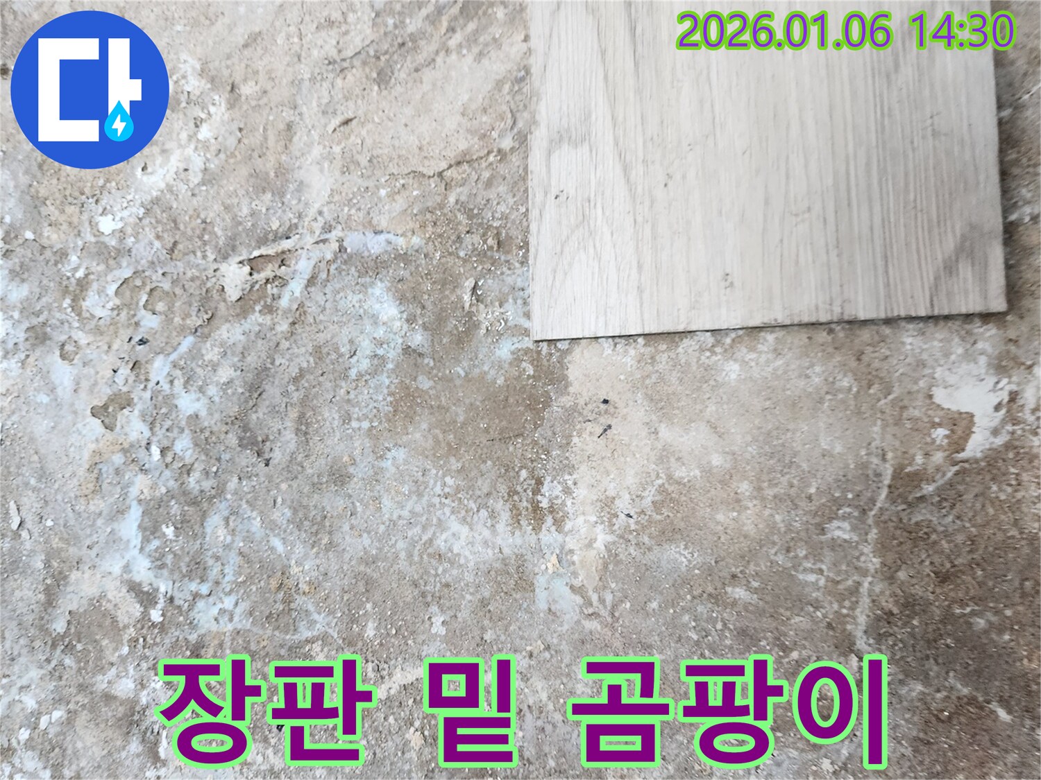 생연동 누수 - 장판 밑 곰팡이, 건강에 적신호!