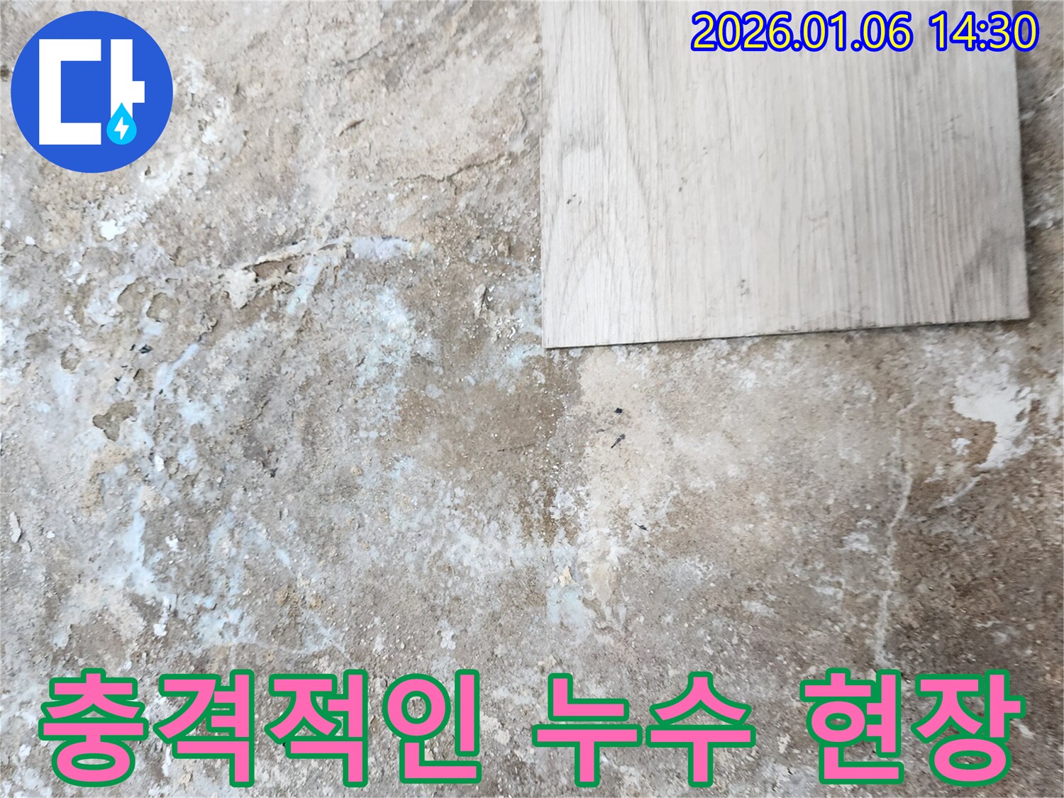 생연동 누수 - 장판 아래 숨겨진 심각한 누수 상황