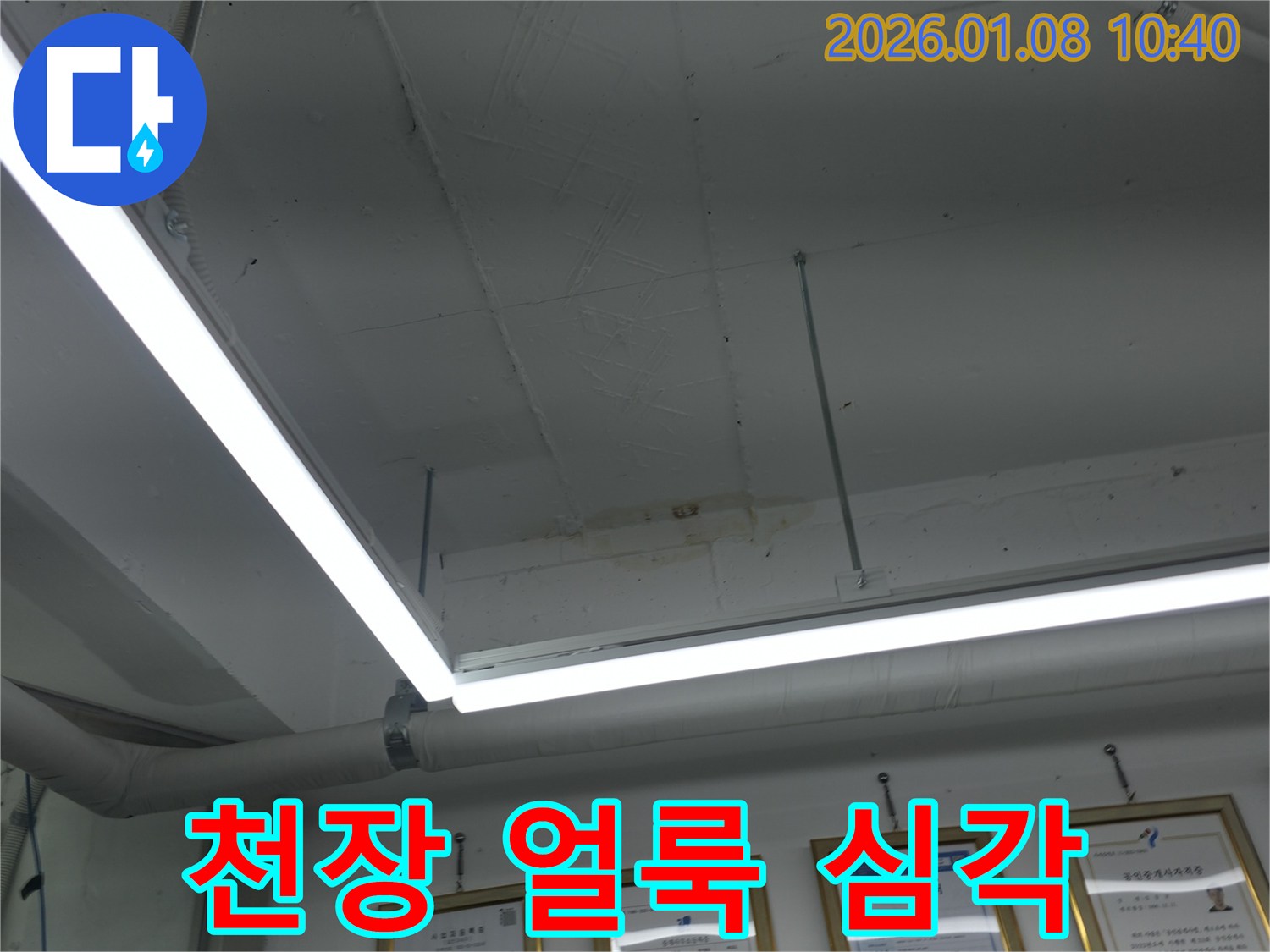 천장 얼룩 심각 - 누수 진행 중 - 건물 손상 우려